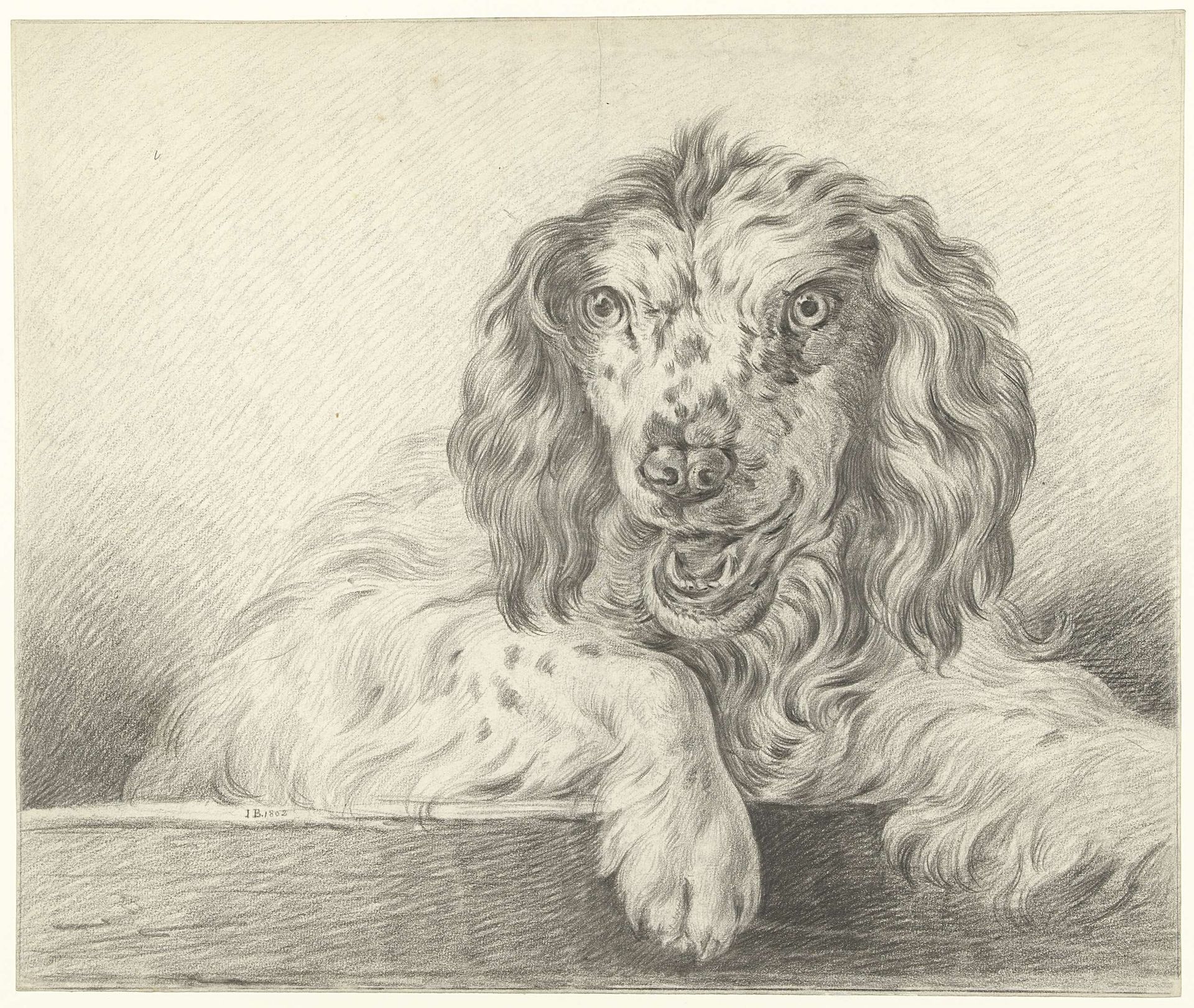 Hond by Jean Bernard