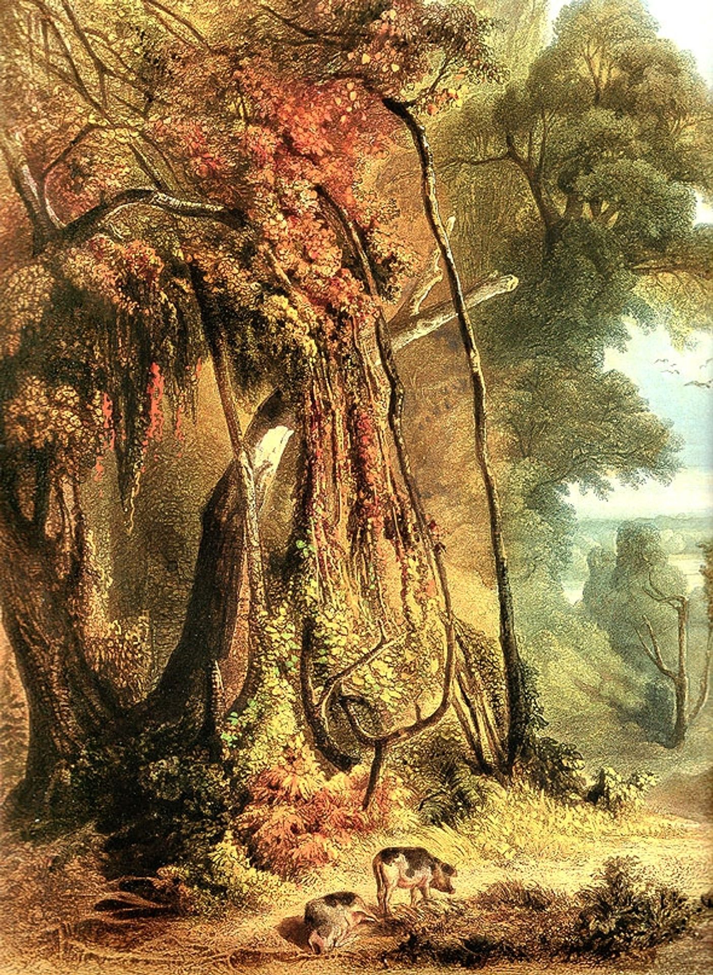 Along the Wabash [ Left ] by Karl Bodmer