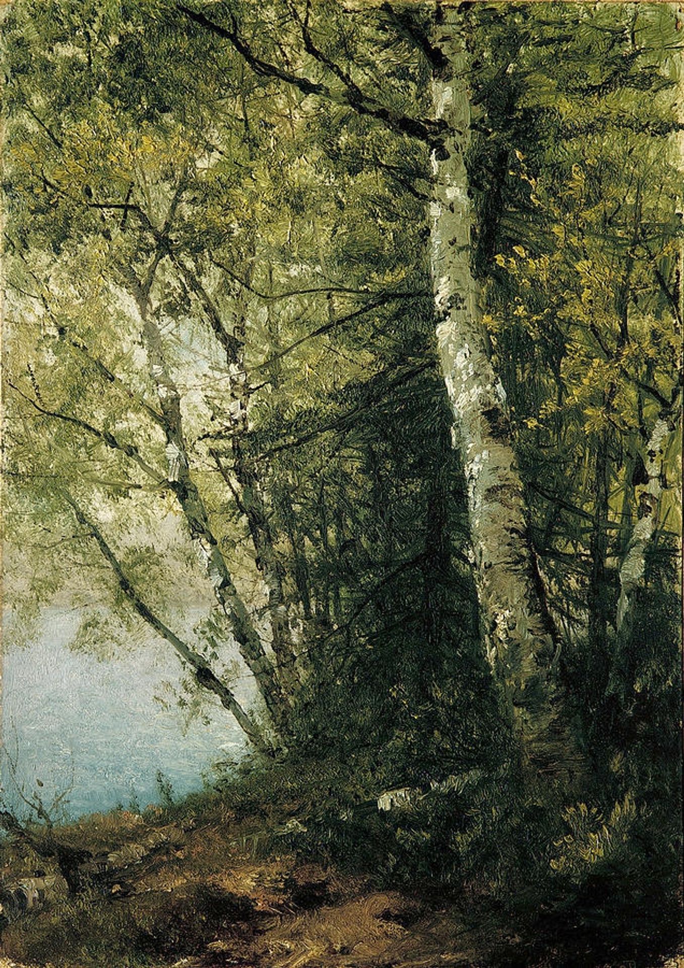 Study of Beeches by John Frederick Kensett
