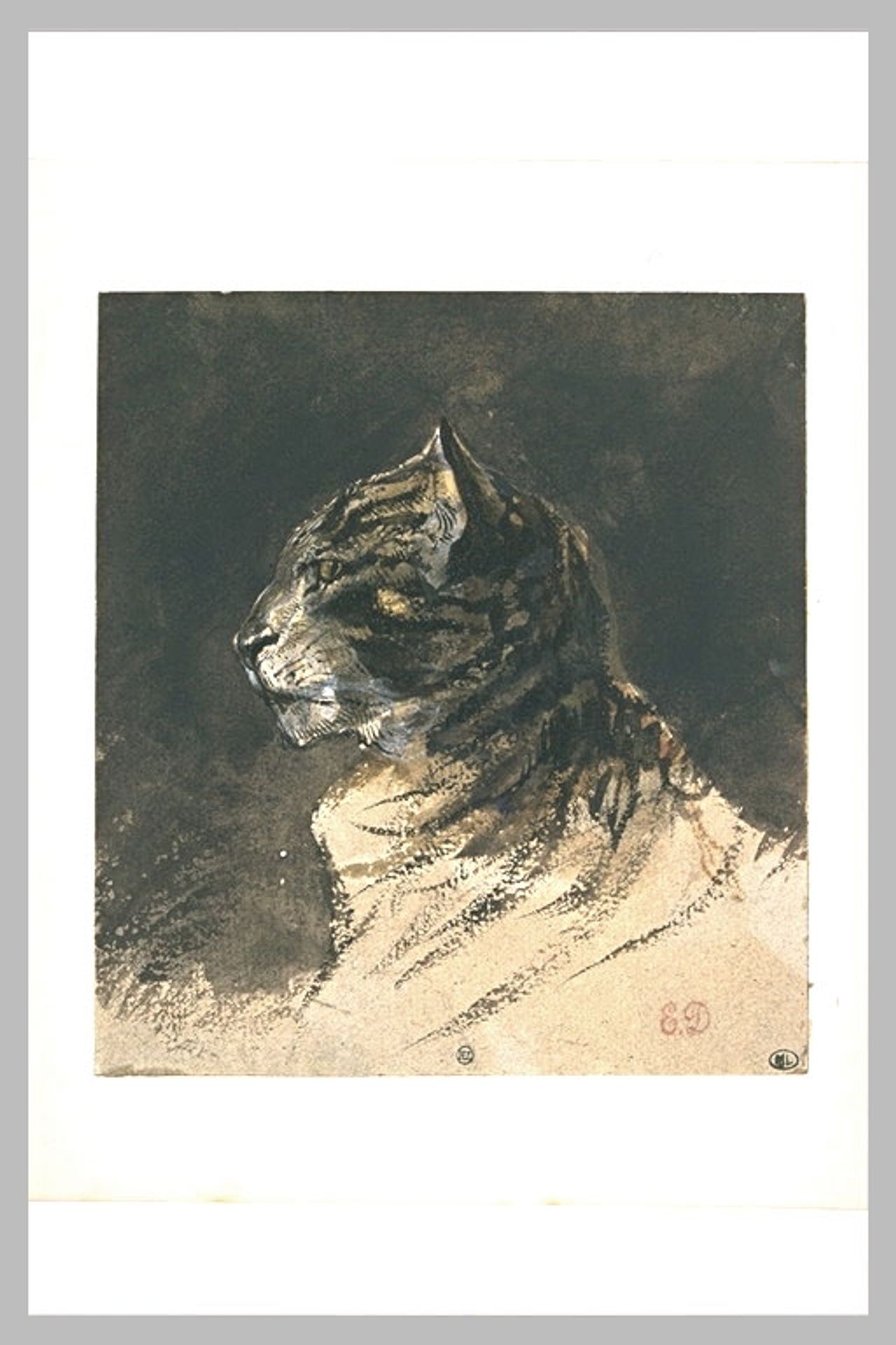 Cat head by Eugène Delacroix