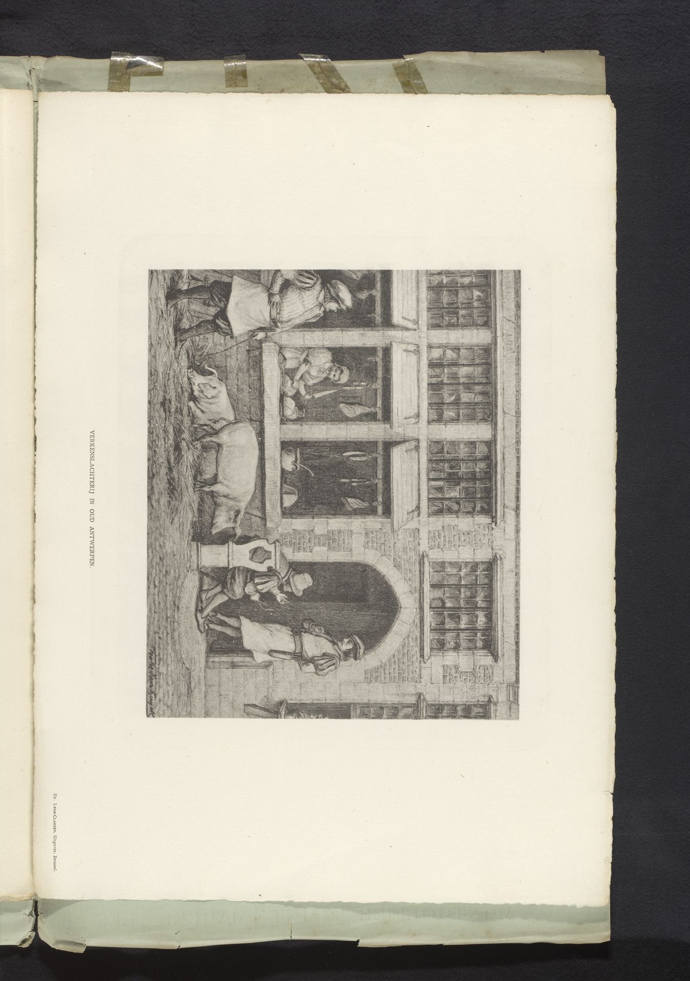 Reproductie van een tekening van varkens voor een slachthuis in Oud-Antwerpen op de Wereldtentoonstelling van 1894 in Antwerpen, door Frans van Kuyck by Anonymous