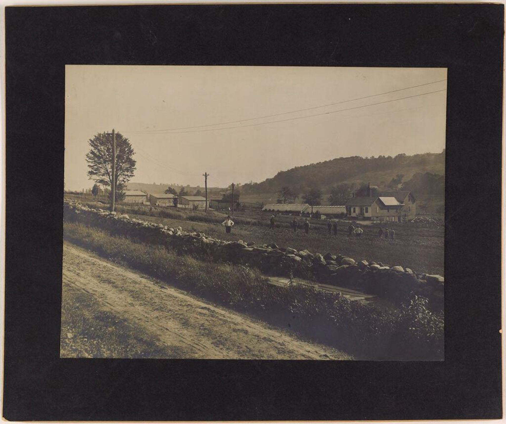 Defectives, Epileptics: United States. Massachusetts. Palmer. State Hospital for Epileptics: Greenhouses and Hen Houses. by ? Woodhead Studio