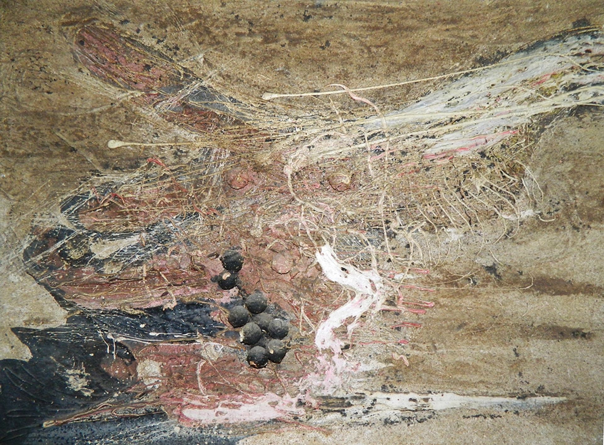 Rose & Sand by Christo Coetzee