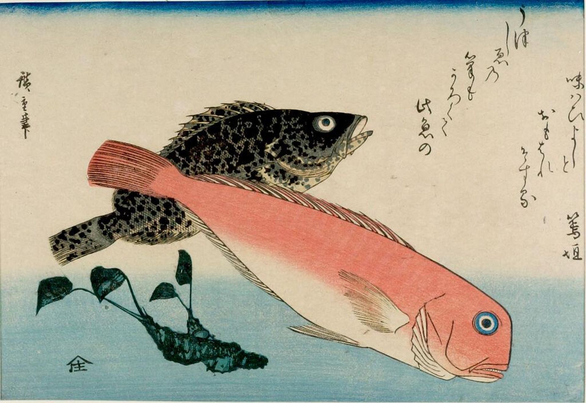 Tile Fish (Amadai), White Horsehead (Ishimochi) and Horseradish (Wasabi), from the series A Shoal of Fishes (Uo-zukushi) by Utagawa Hiroshige