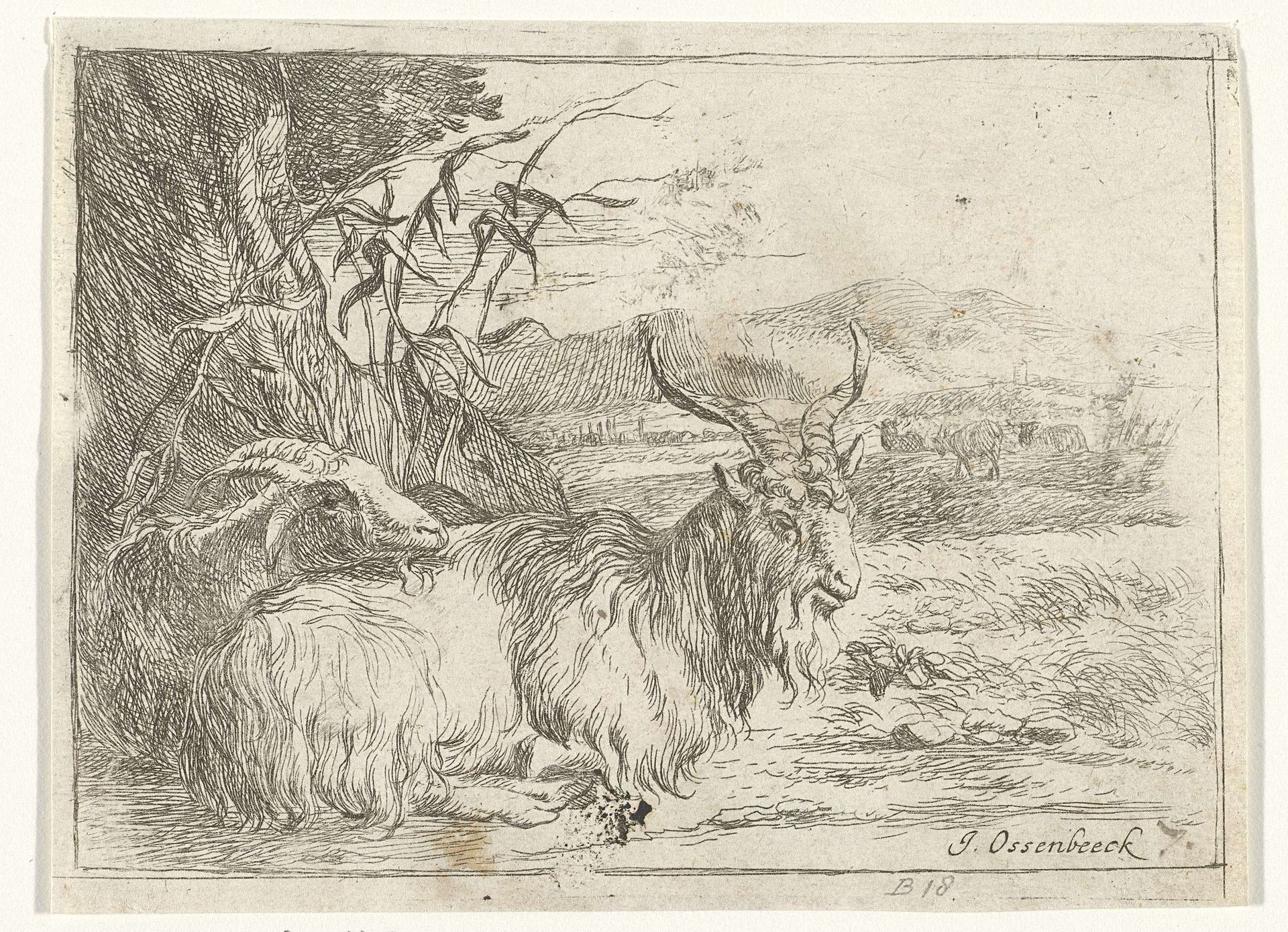 Geit en bok onder een boom by Jan van Ossenbeeck