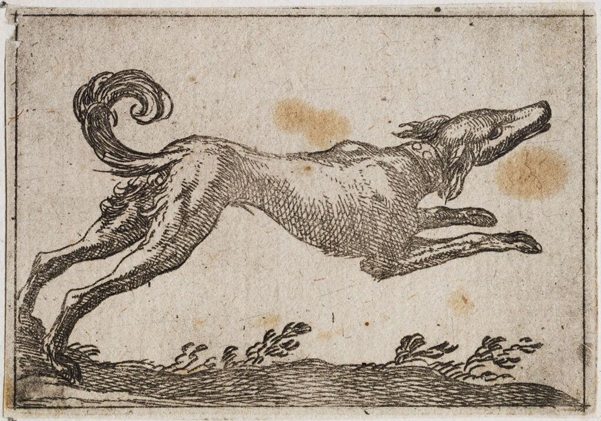 Running Dog by Antonio Tempesta