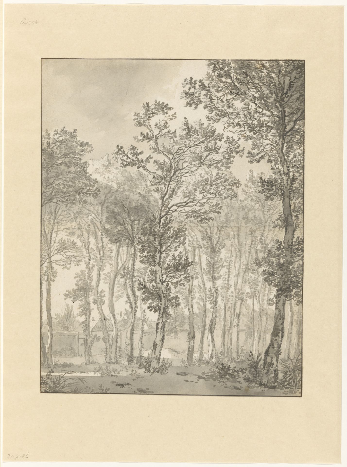 Groep hoge berken by Jan Hackaert