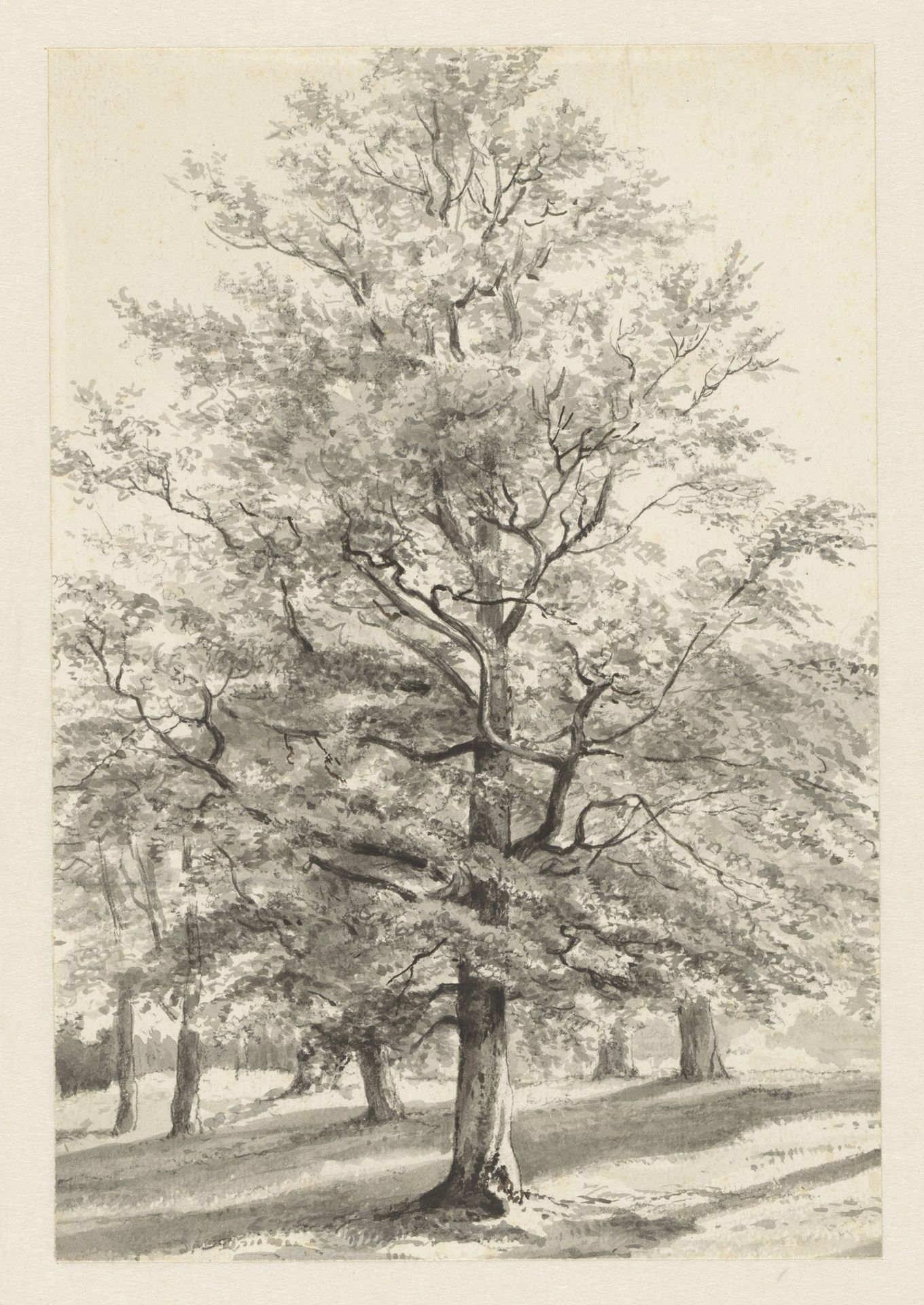 Landschap met bomen by Cornelis Steffelaar