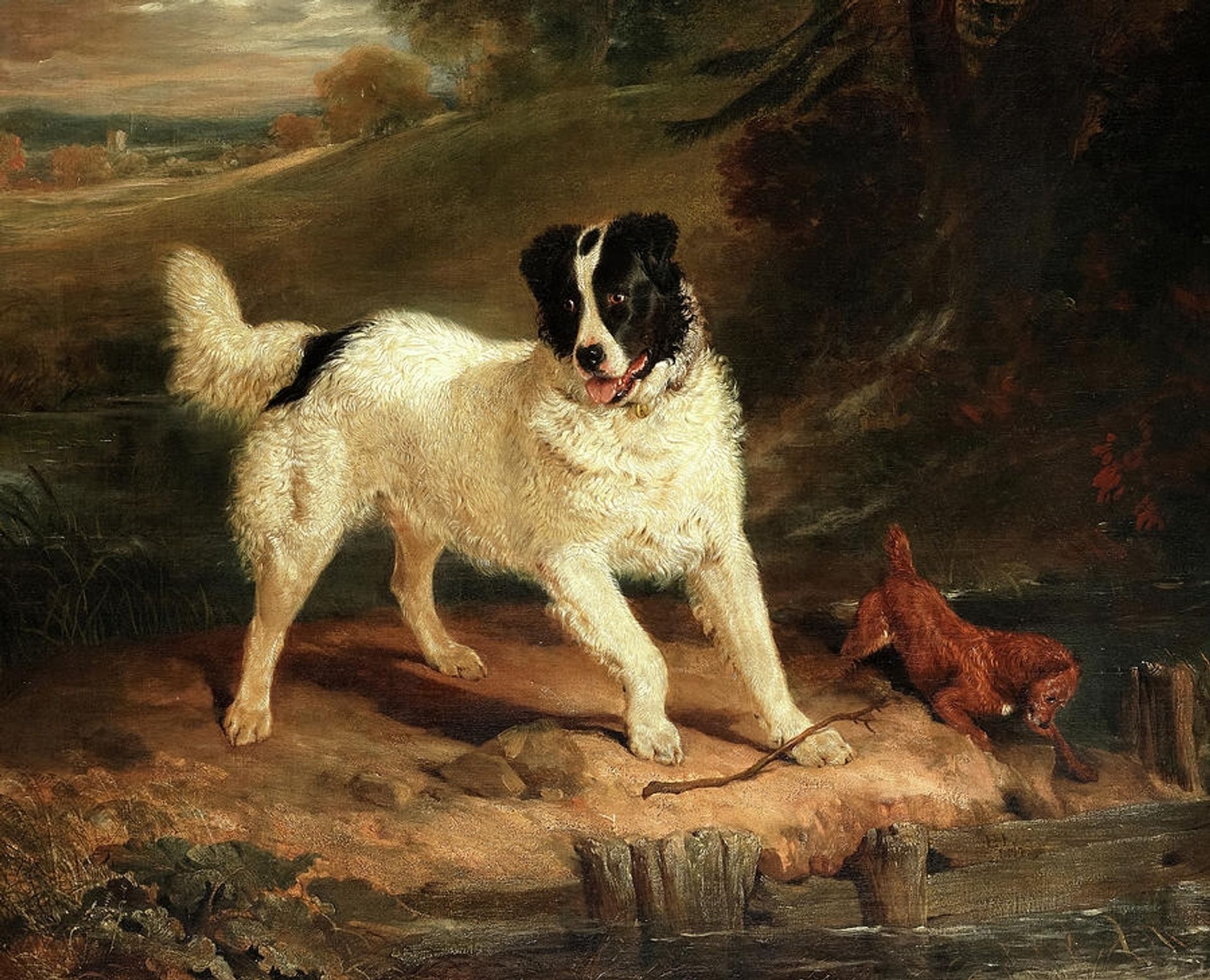Newfoundland Dog and Terrier at a Stream by Edwin Henry Landseer