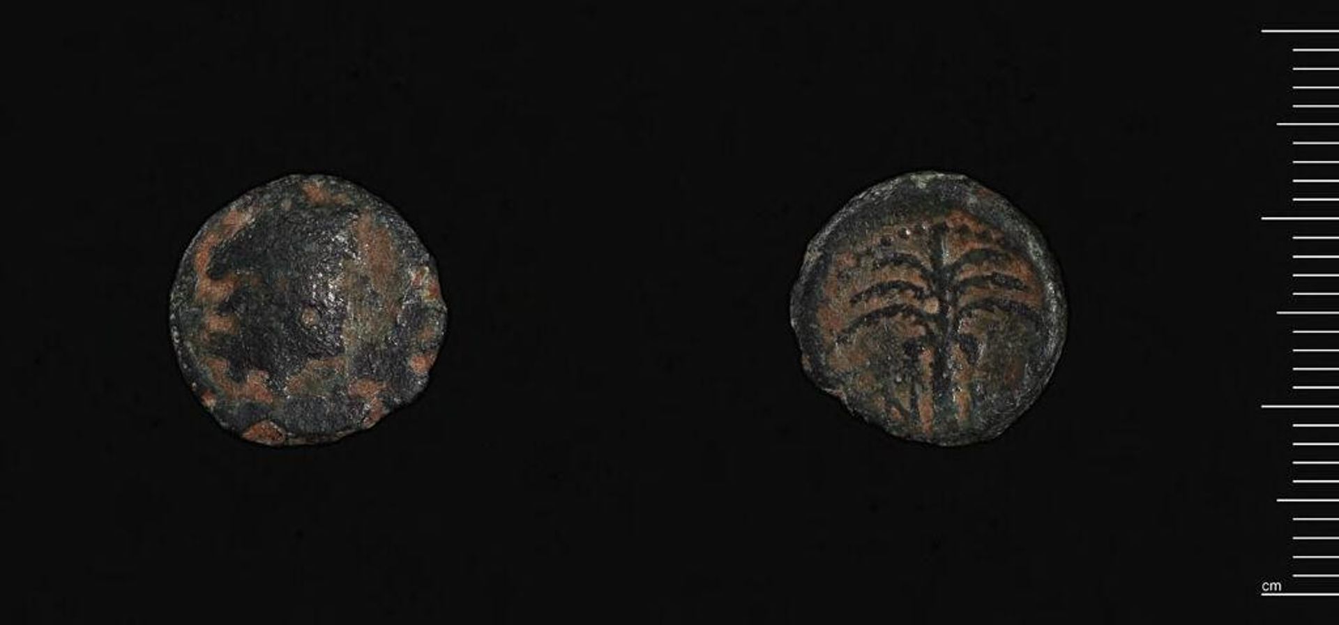 Coin of Demetrios II of Syria, Tyre by Demetrios II of Syria Nikator