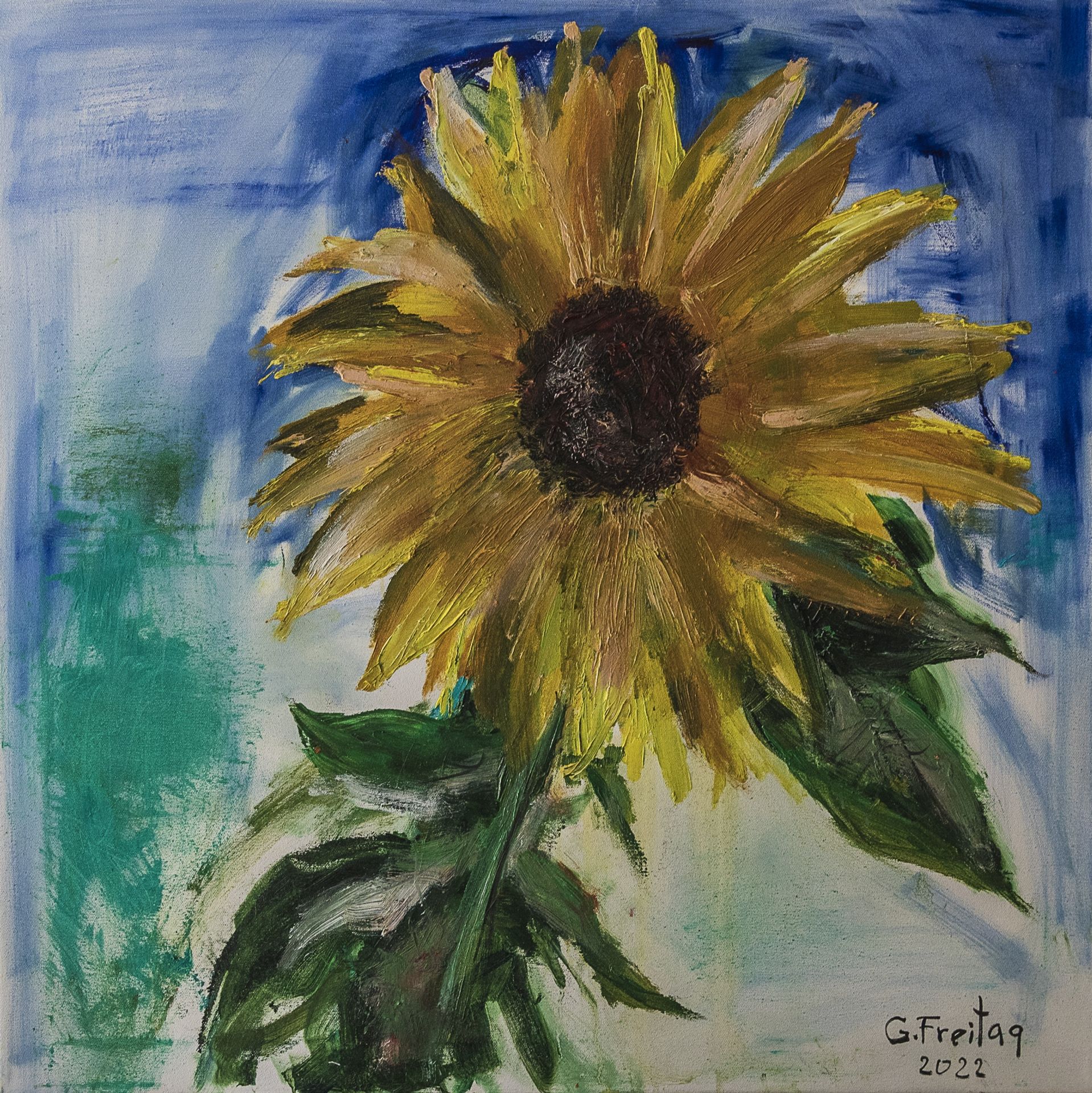 Sonnenblume by Gazmend Freitag
