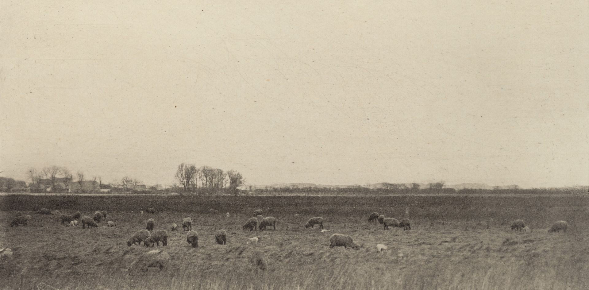 Marshes by the North Sea by Peter Henry Emerson