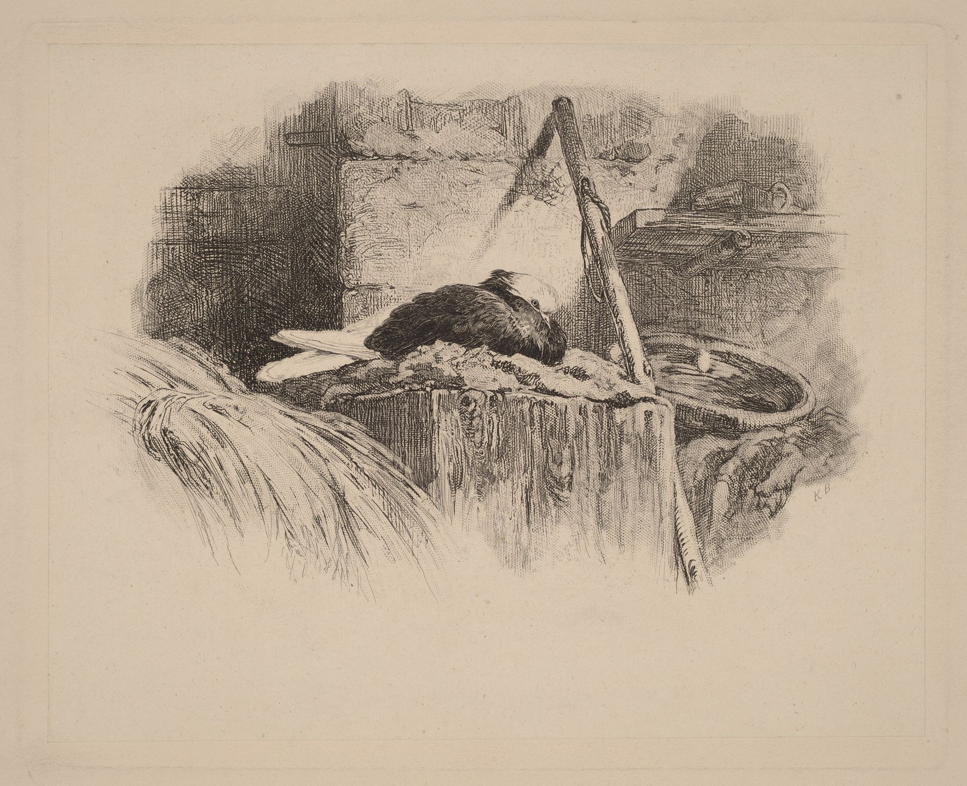 Pigeon sur un nid by Karl Bodmer