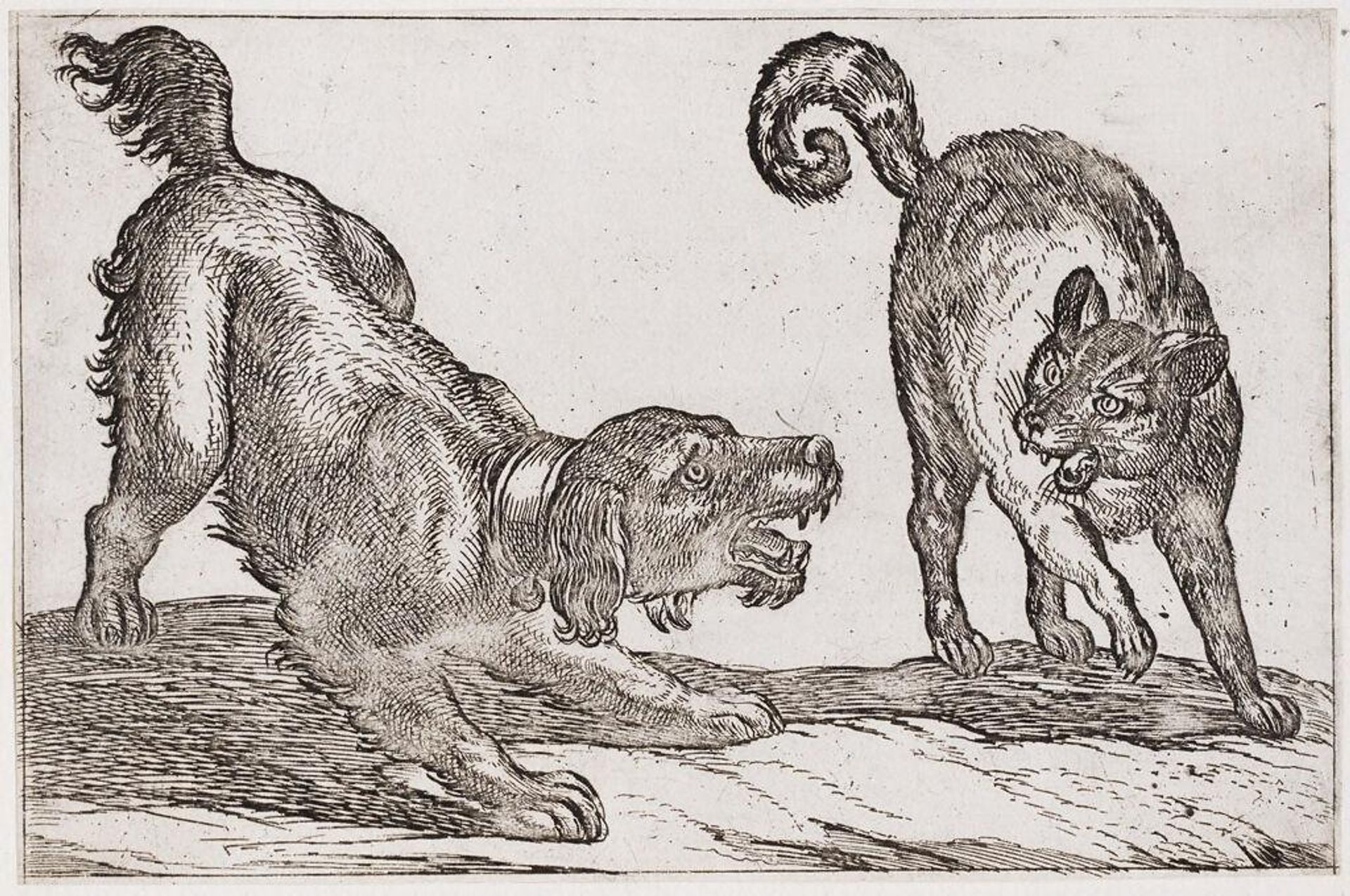 A Dog Fighting a Cat by Antonio Tempesta