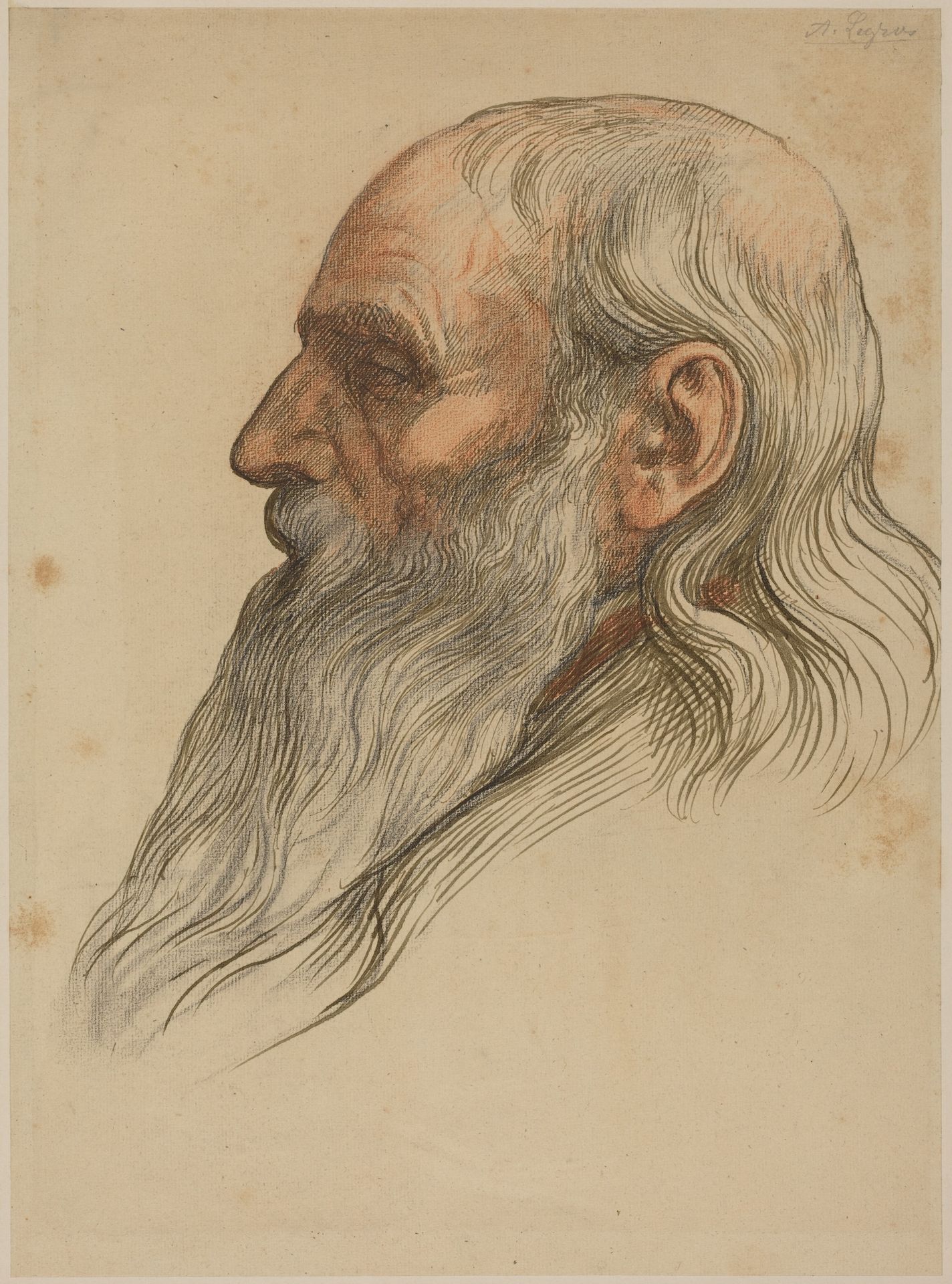 Study of a Man's Head with a Full Beard by Alphonse Legros