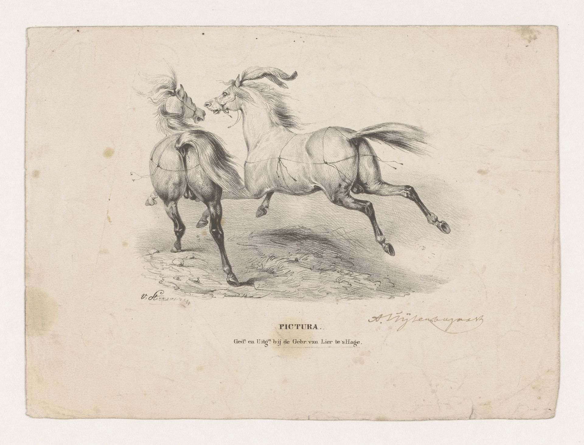 Twee rennende paarden by Gijsbert van Staveren