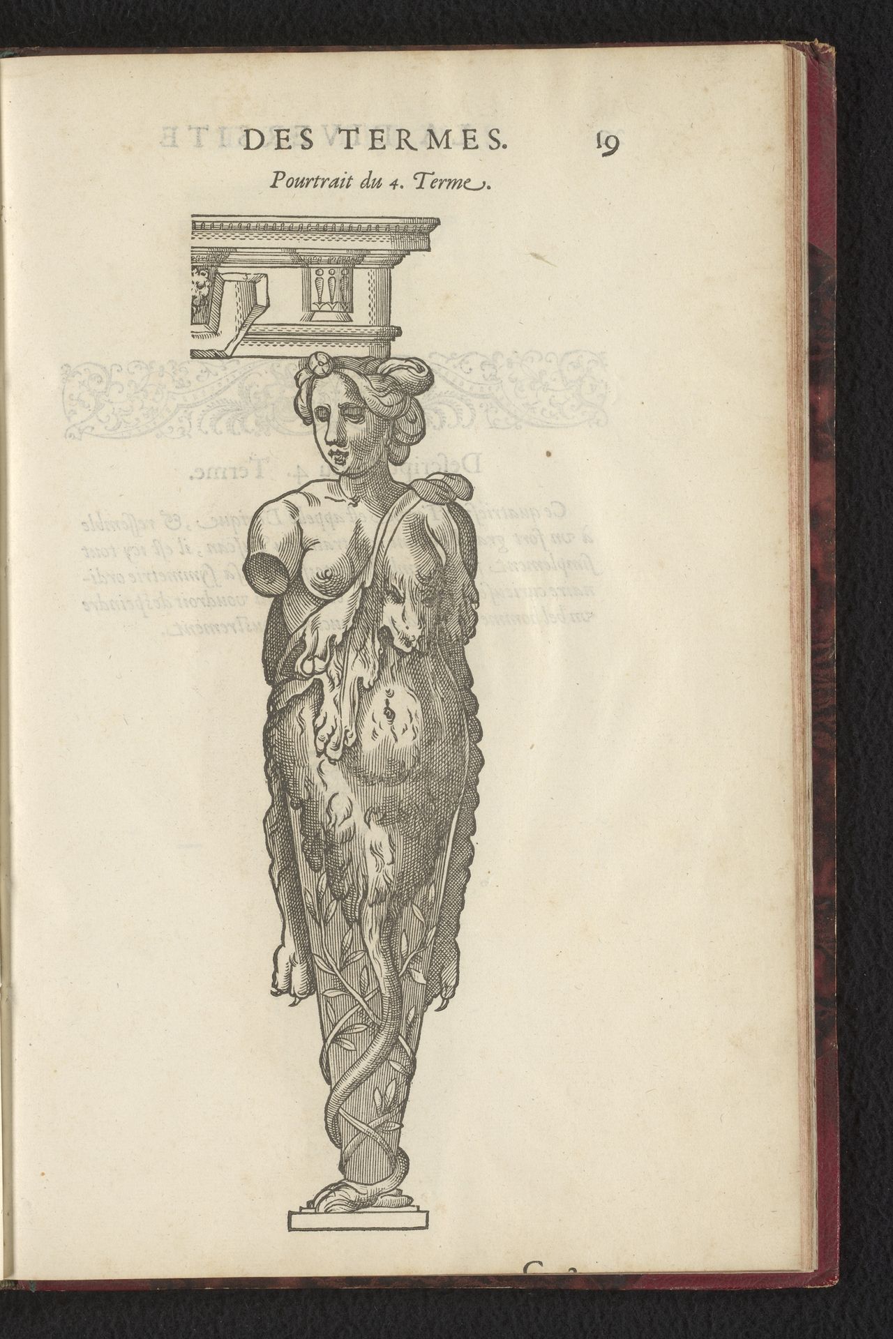 Vrouwelijke term met leeuwenhuid by Anonymous