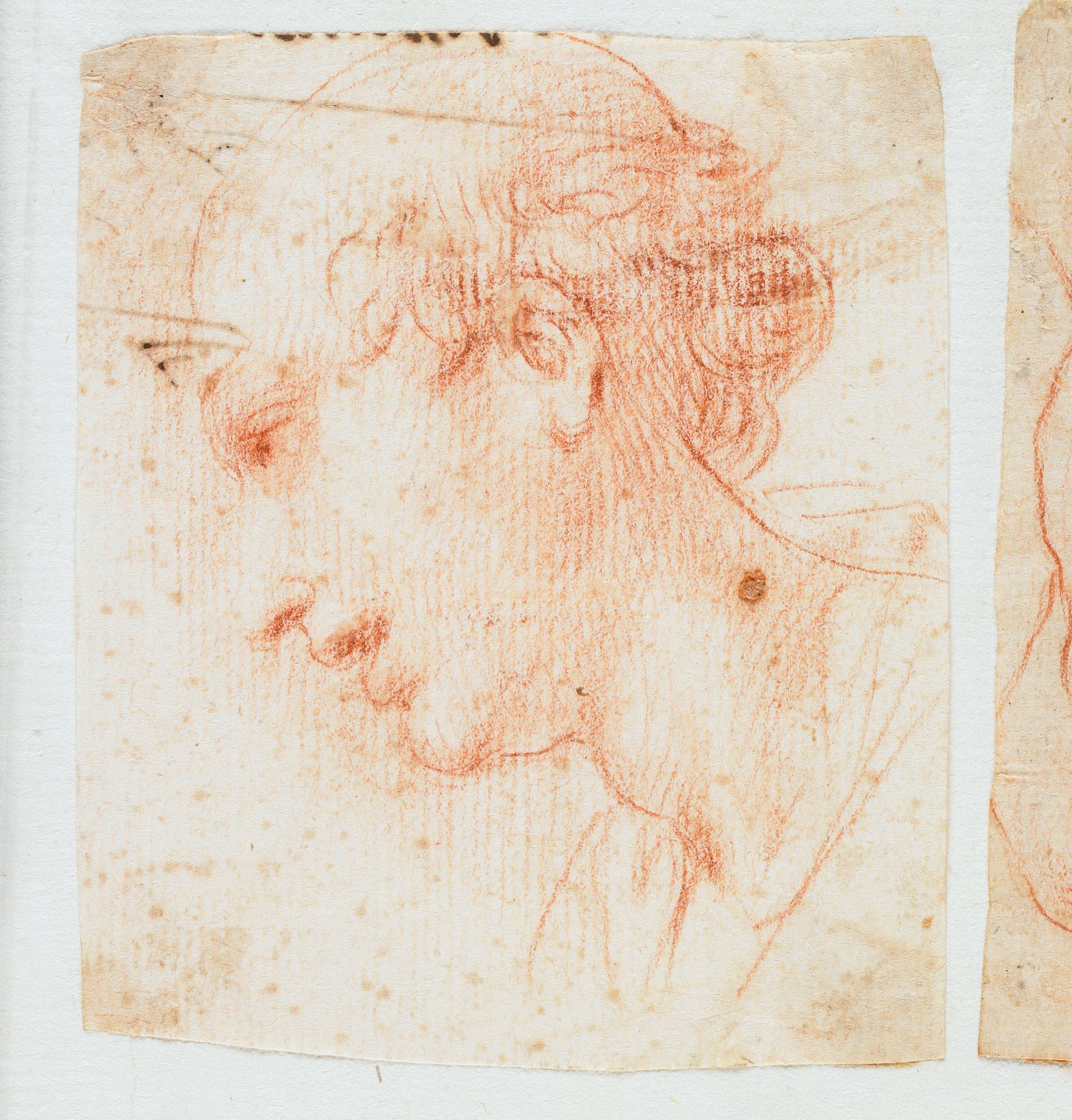 Head of a Young Man in Profile by Anonymous
