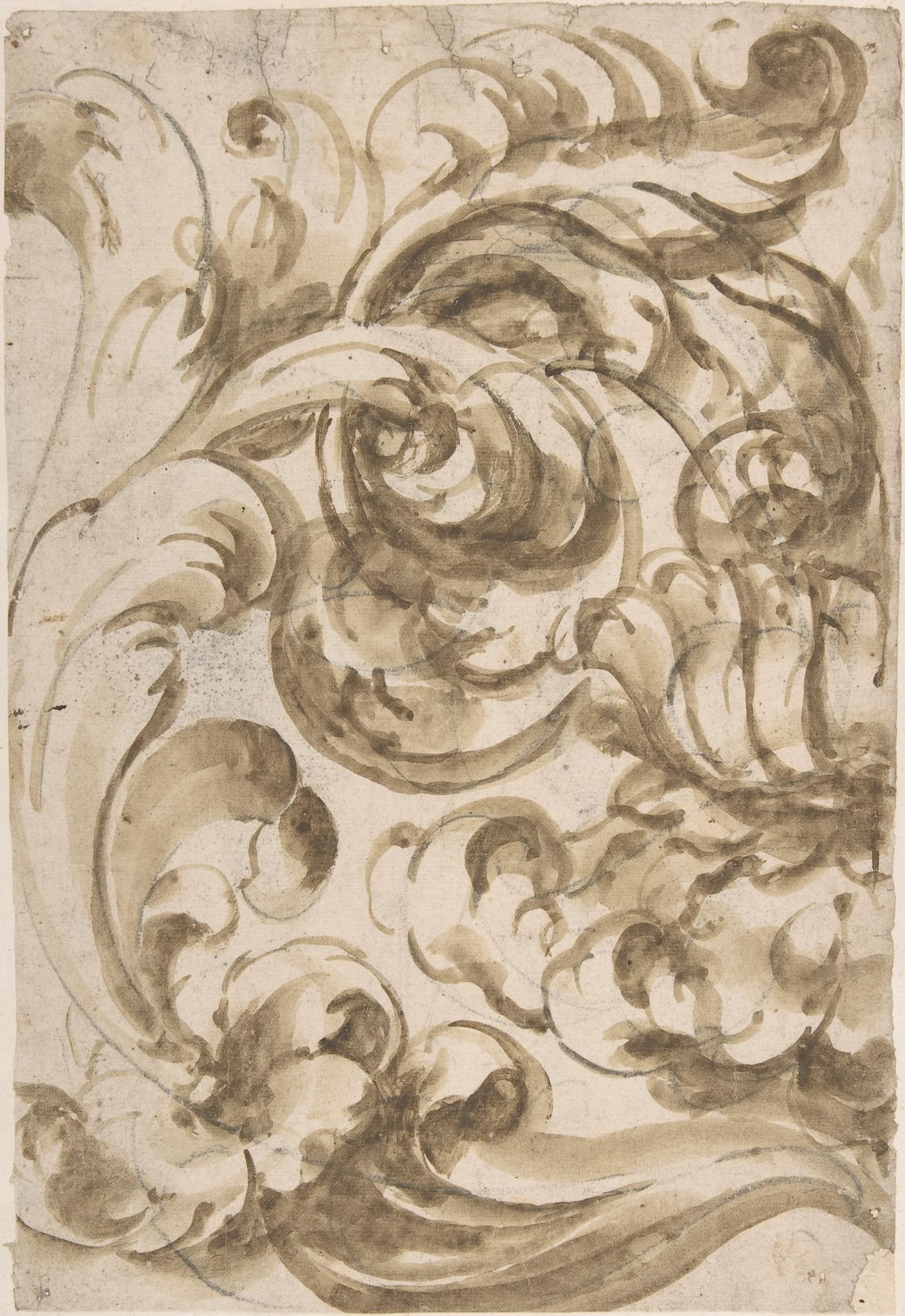 Acanthus Scroll by Anonymous