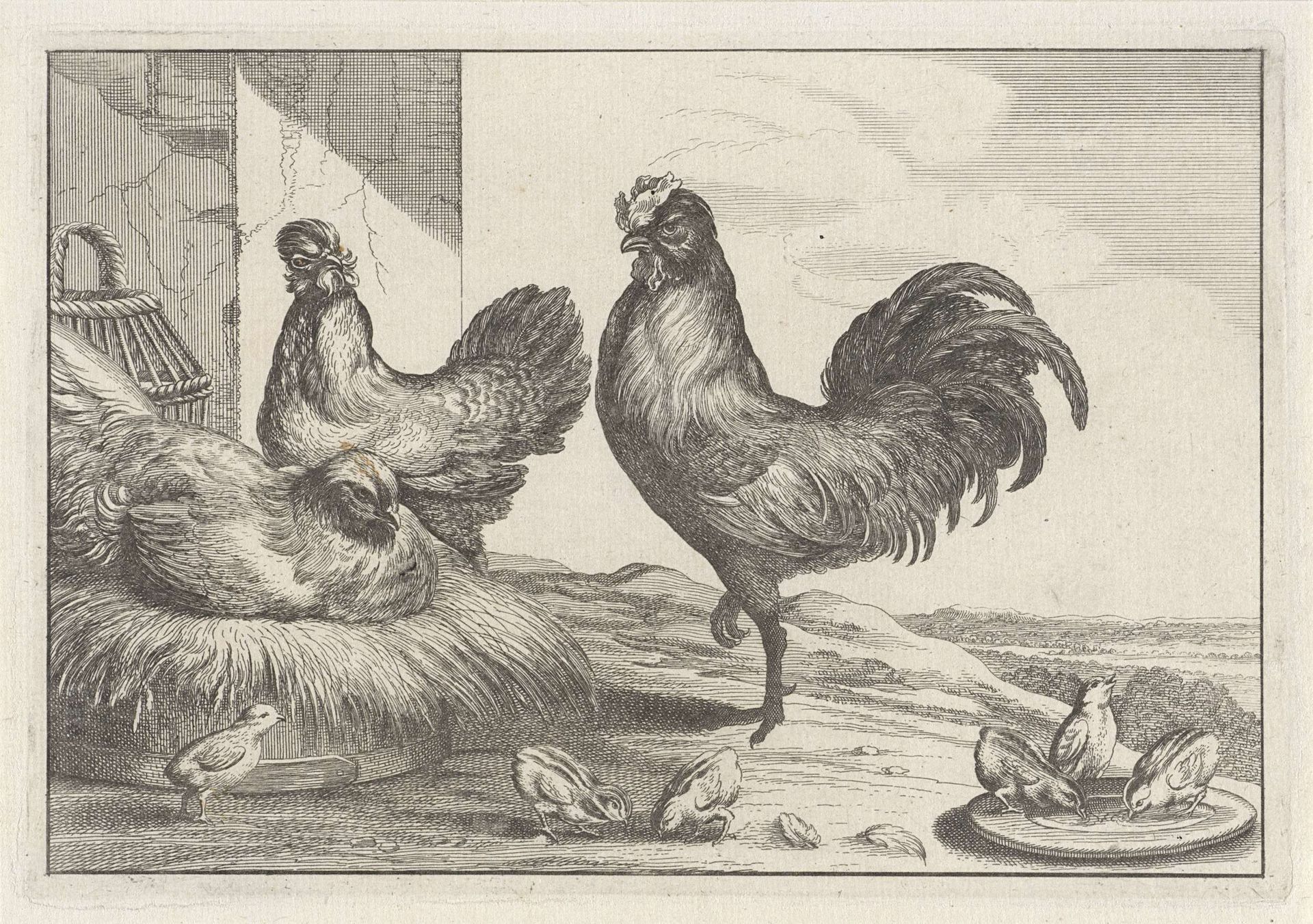 Kip, hanen en kuikens by Anonymous