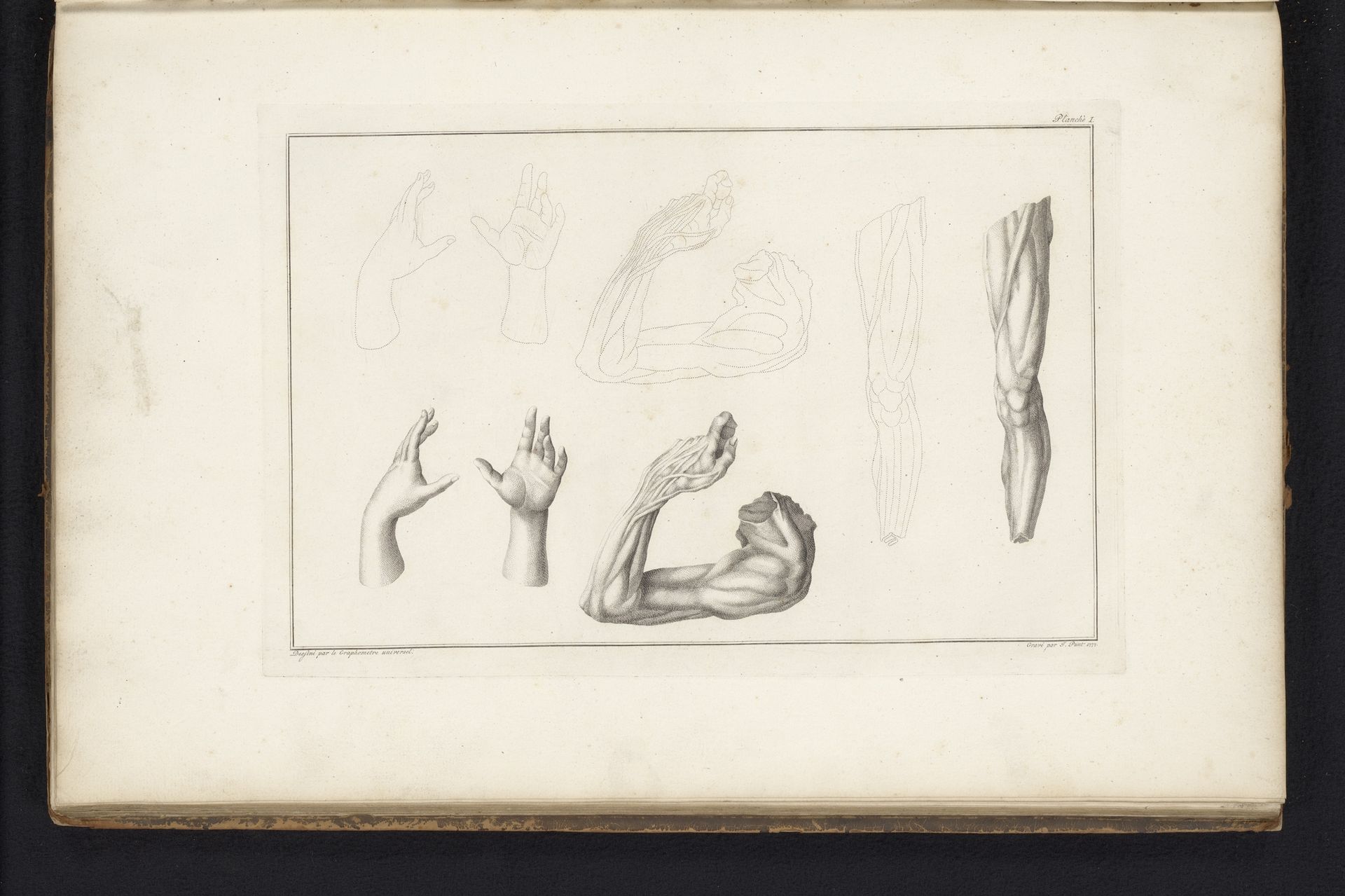 Been, arm en twee handen by Jan Punt