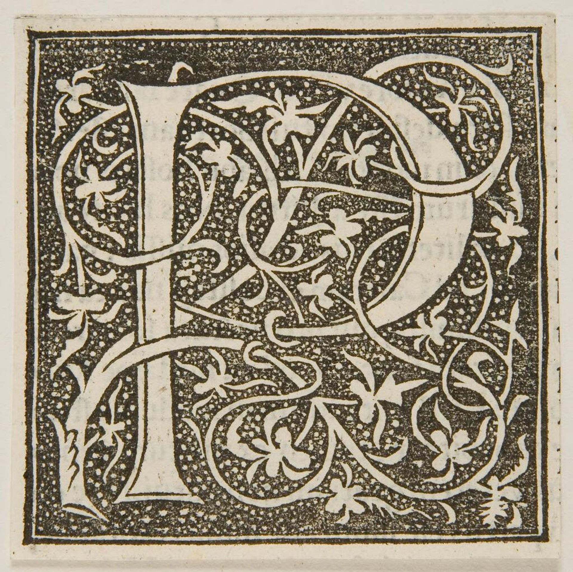 Letter P by Anonymous
