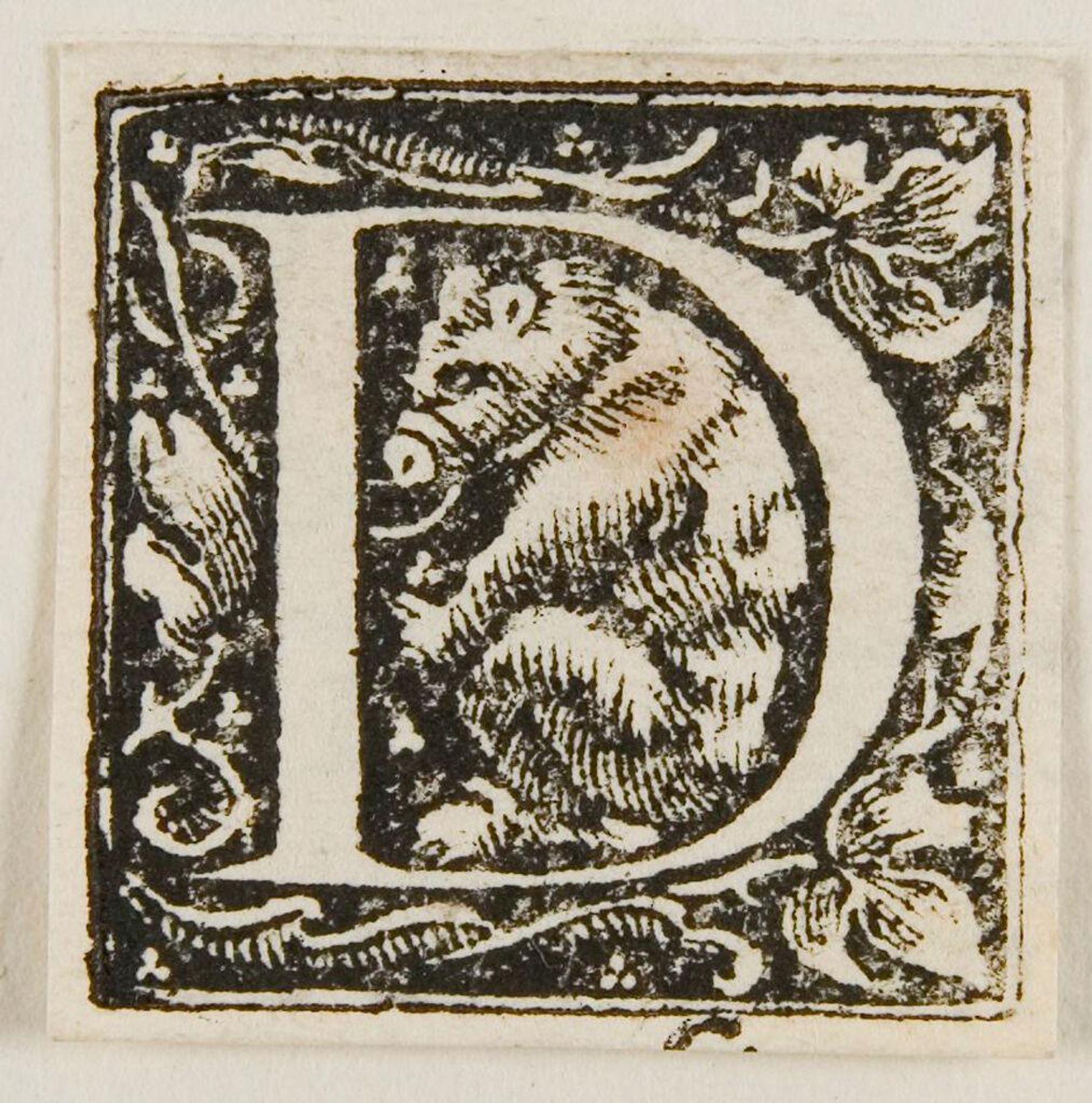Letter D by Hans Holbein the Younger