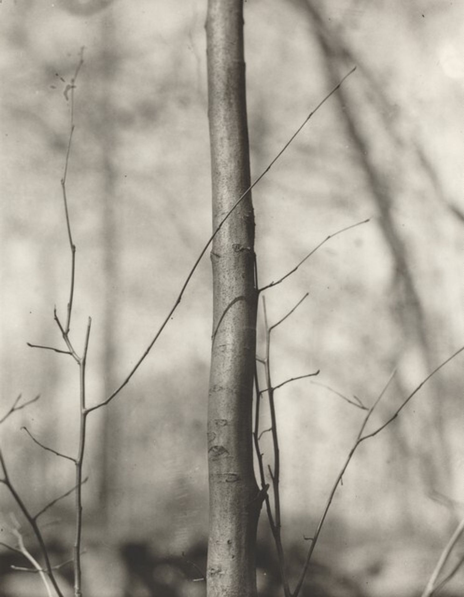 Woods Hole by Dorothy Norman