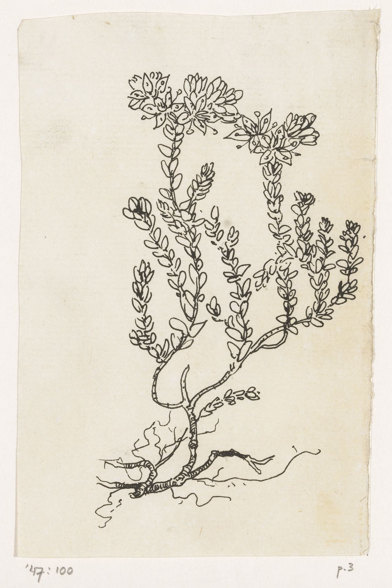 Witte muur by Willem Wenckebach