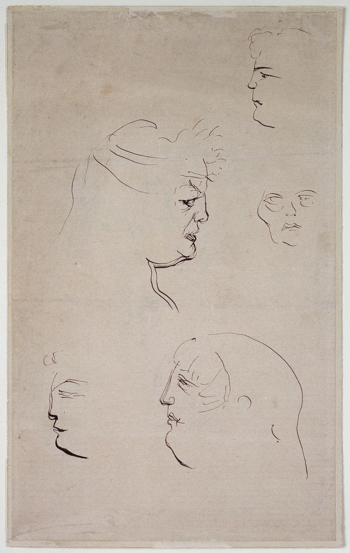 Sketch sheet_ Head studies by Henri de Toulouse-Lautrec