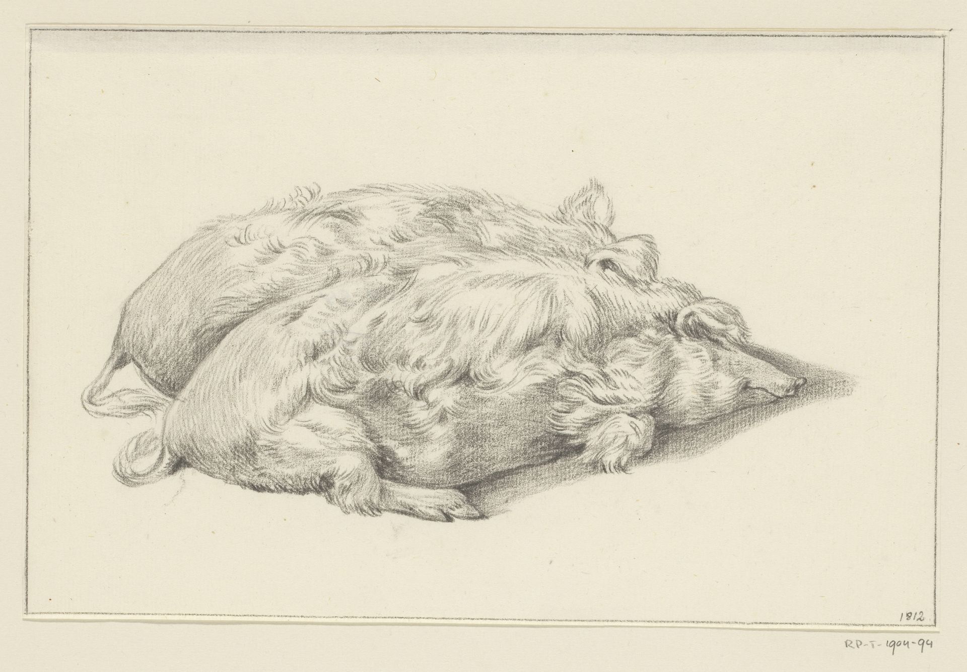 Twee naast elkaar liggende varkens by Jean Bernard