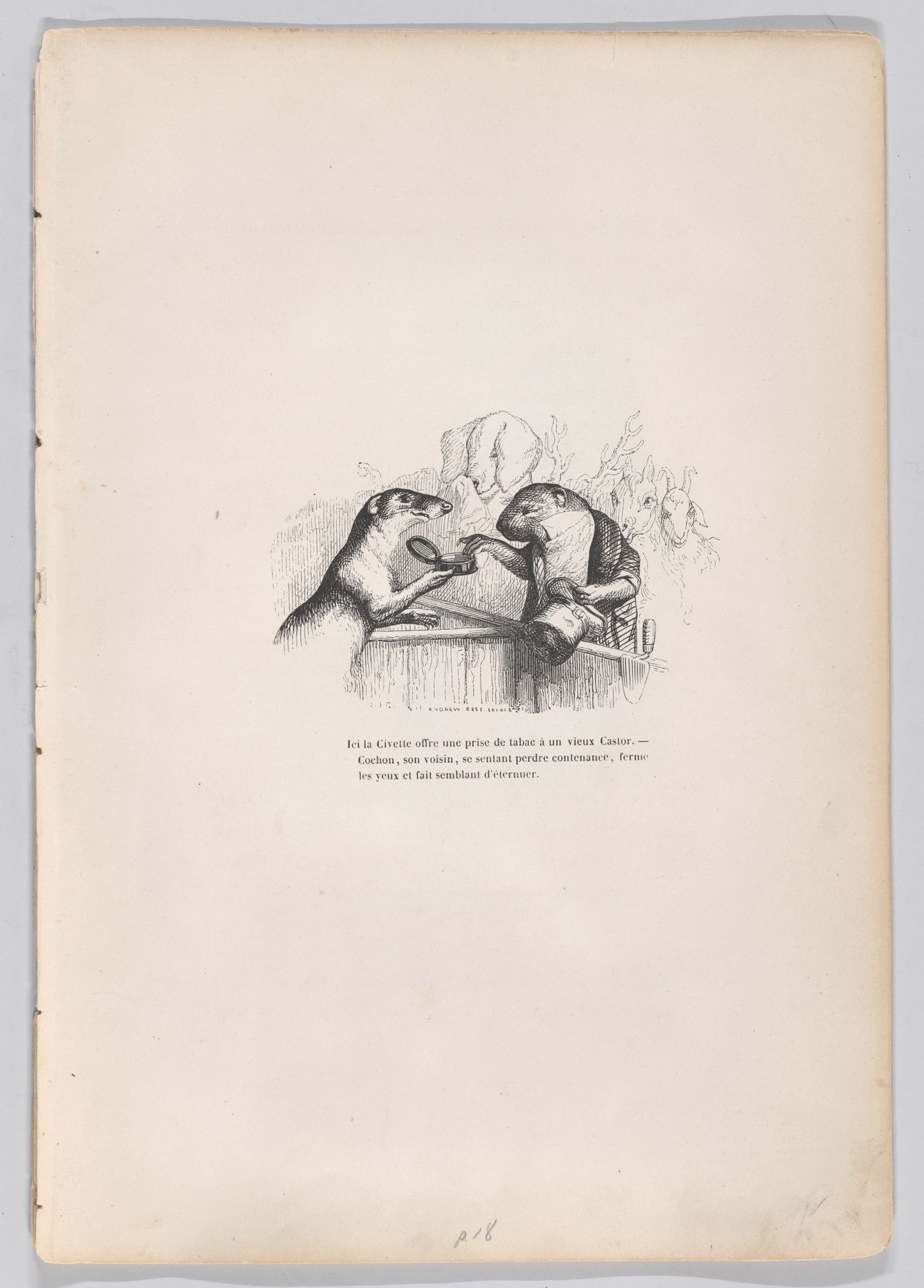 "Here, the civet offers a hit of snuff to an old beaver" from Scenes from the Private and Public Life of Animals by J. J. Grandville
