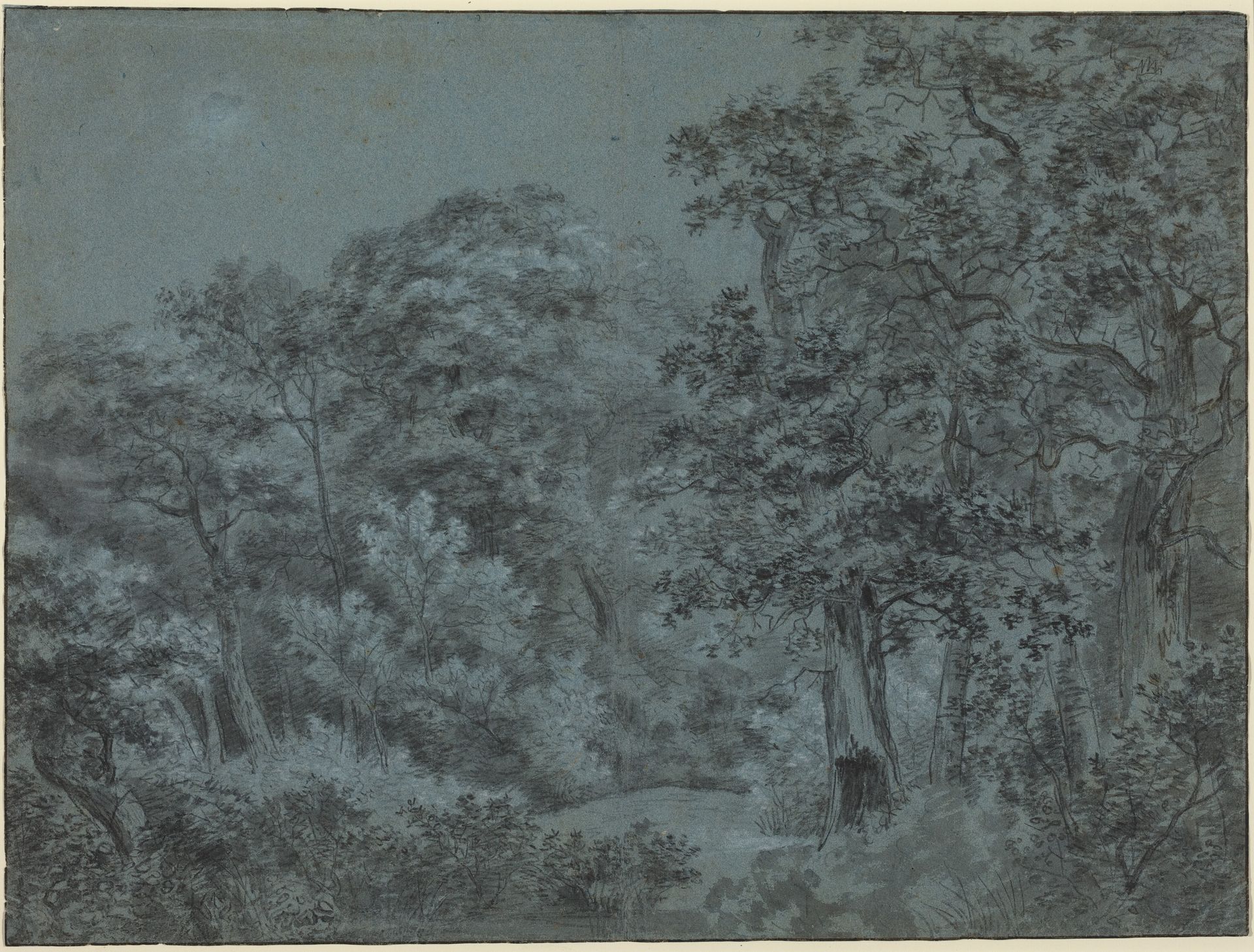 In the Hague Woods by Simon de Vlieger