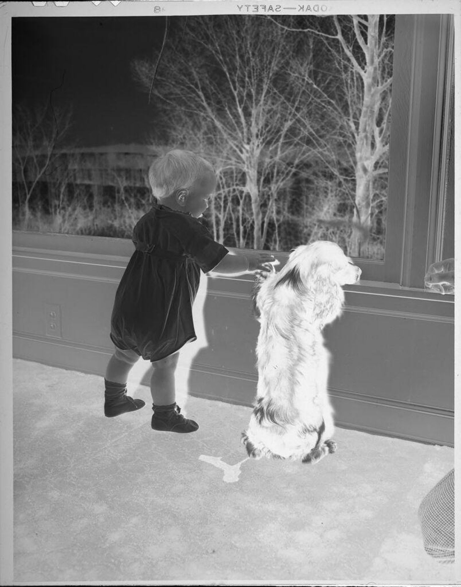 Untitled (baby and dog looking out window) by Lucian and Mary Brown