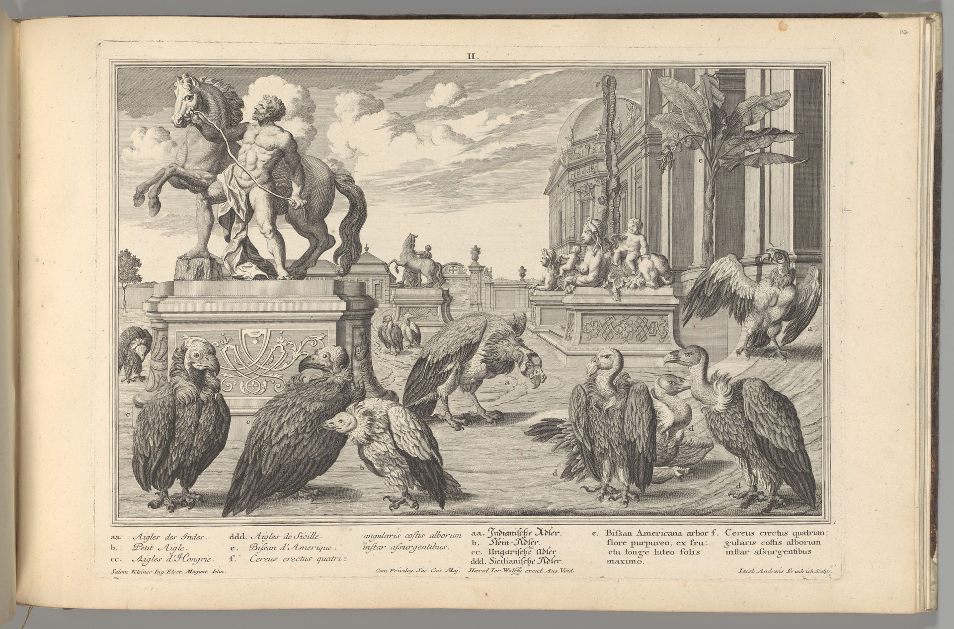 Residences Memorables de l'Incomporable Heros de Nôtre Siècle, ou Edifices et Jardins de Son Altesse Serenissime Monsigneur Le Prince Eugene François de Savoye et de Piedmont by Salomon Kleiner