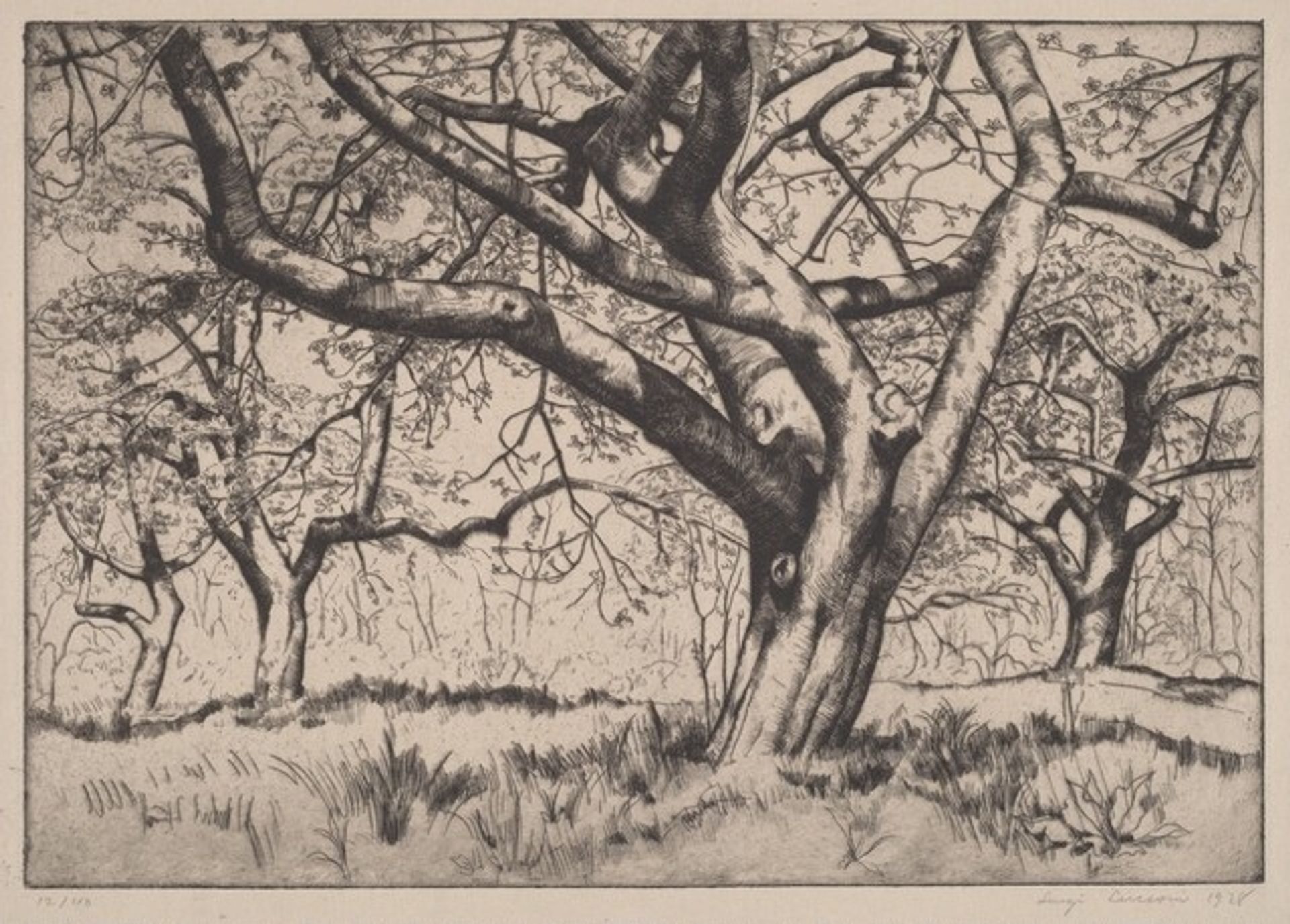 Apple Trees by Luigi Lucioni