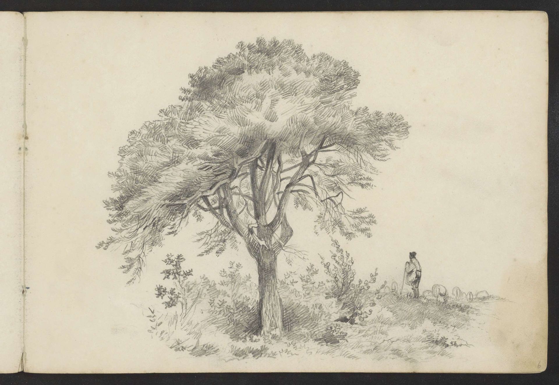 Schapenherder bij een boom by Johannes Tavenraat