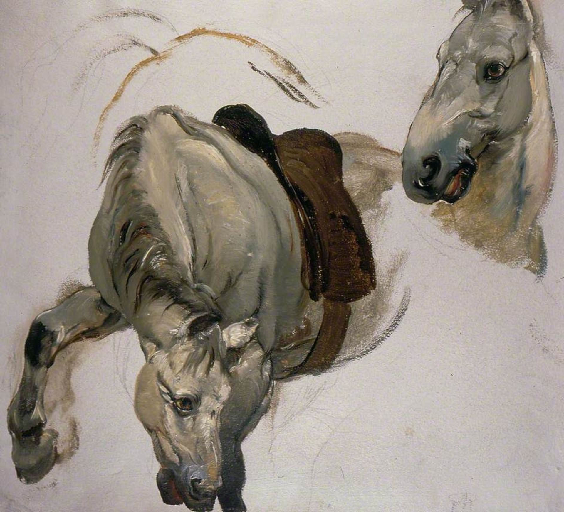 Greys by George Harvey