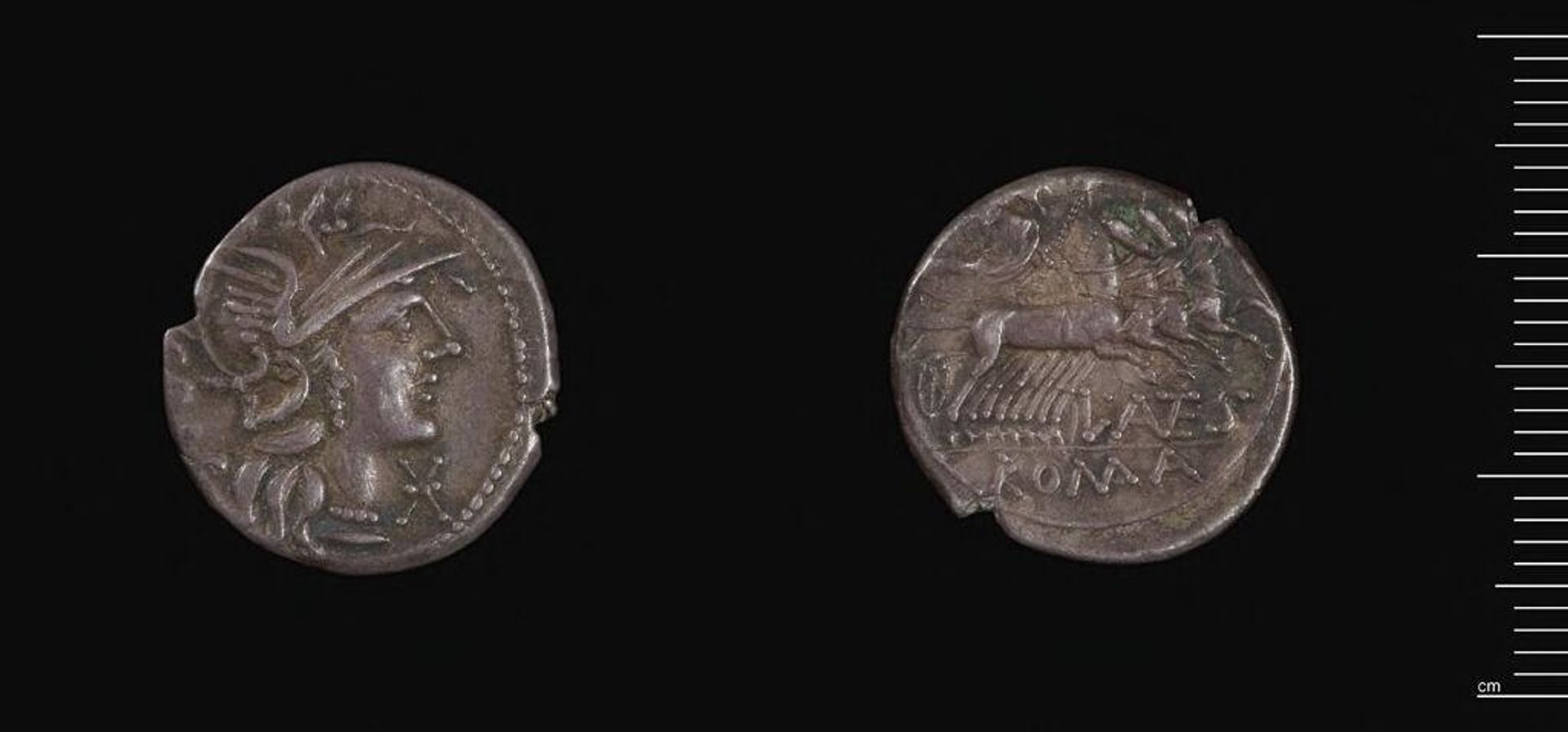 Denarius of L. Antestius Gragulus, Rome by Moneyer: L. Antestius Gragulus