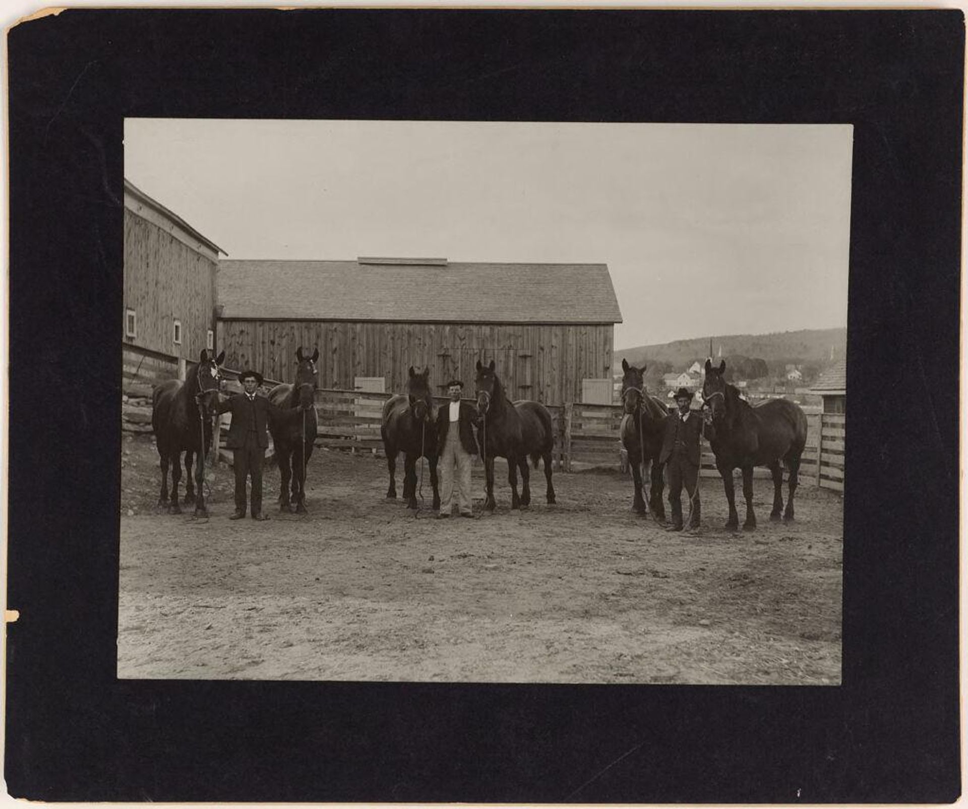 Defectives, Epileptics: United States. Massachusetts. Palmer. State Hospital for Epileptics: Work horses 1905. by ? Woodhead Studio