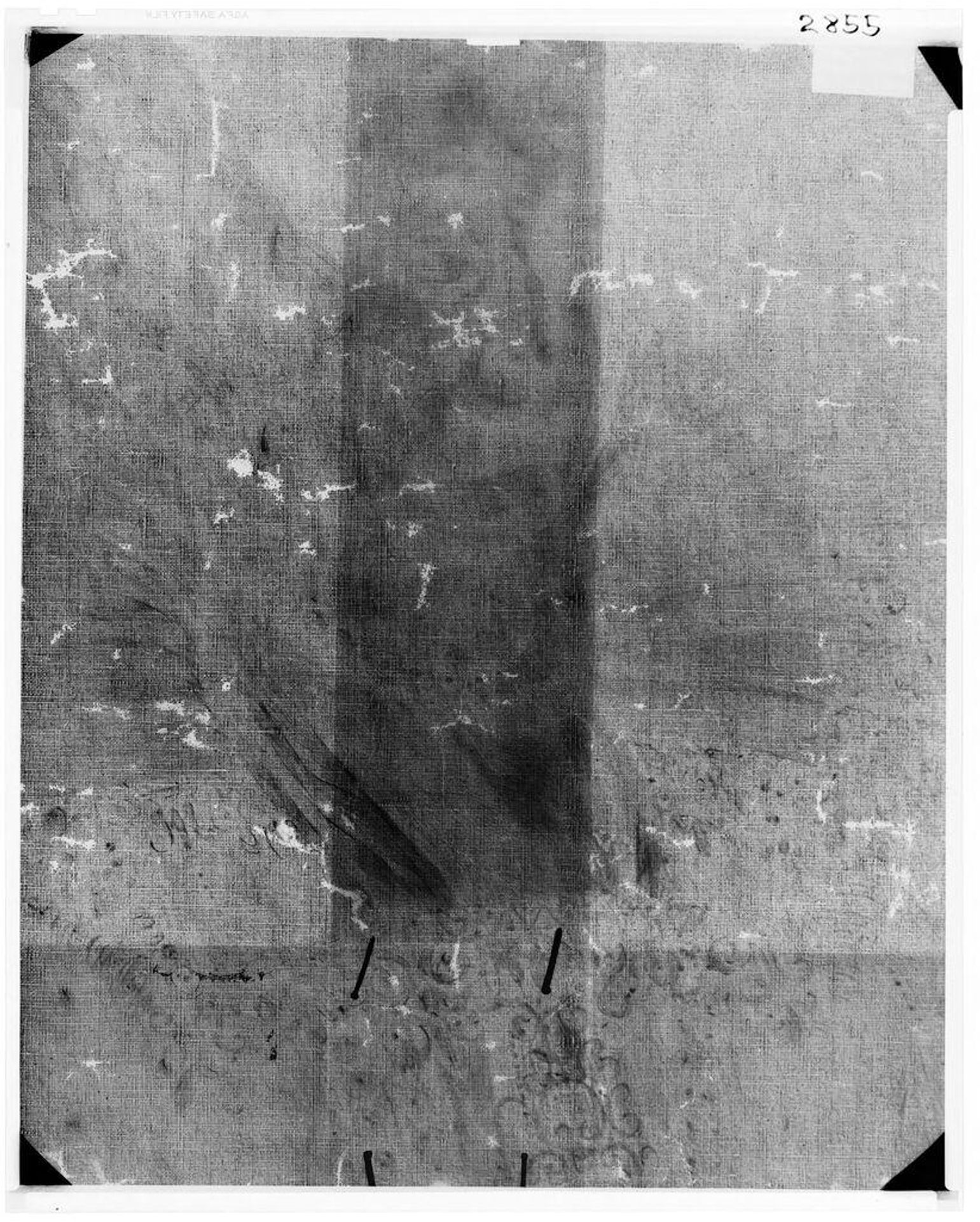 X-radiograph(s) of "Eleanor of Toledo" by Artist of original: (?) Juan Bautista MartÃ­nez del Mazo