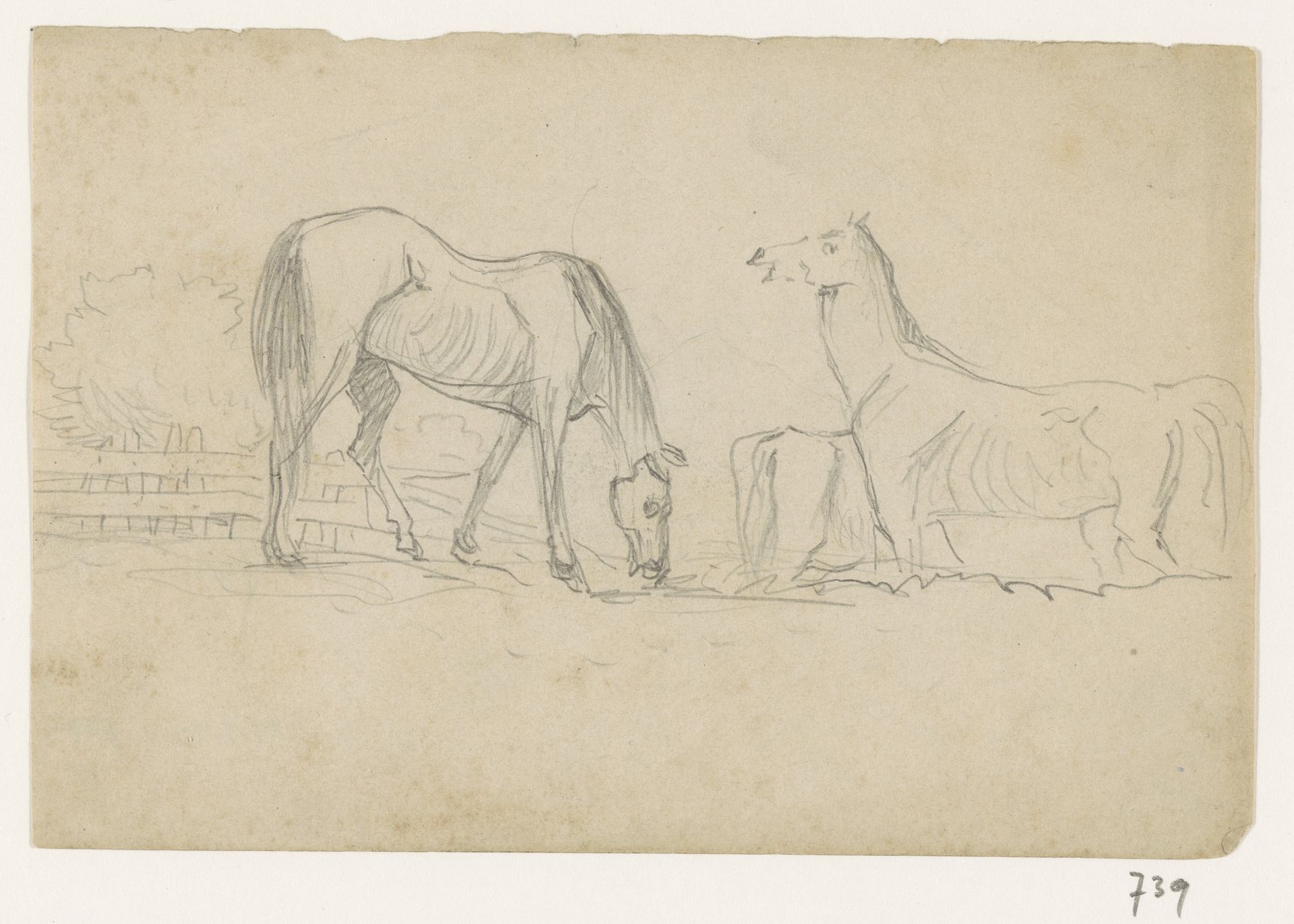 Grazende paarden by Johannes Tavenraat