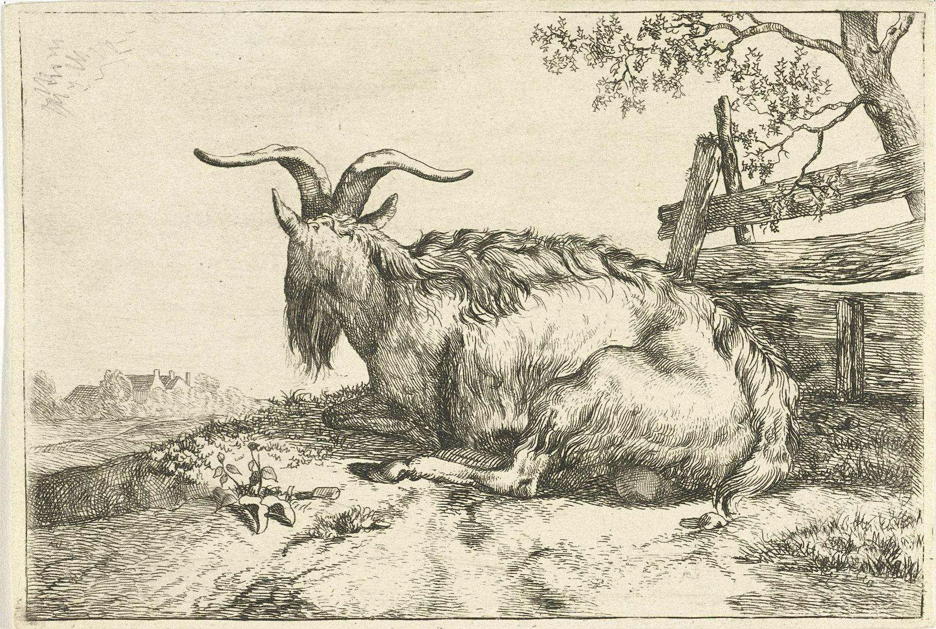 Liggende geit bij hek by Jan Dasveldt
