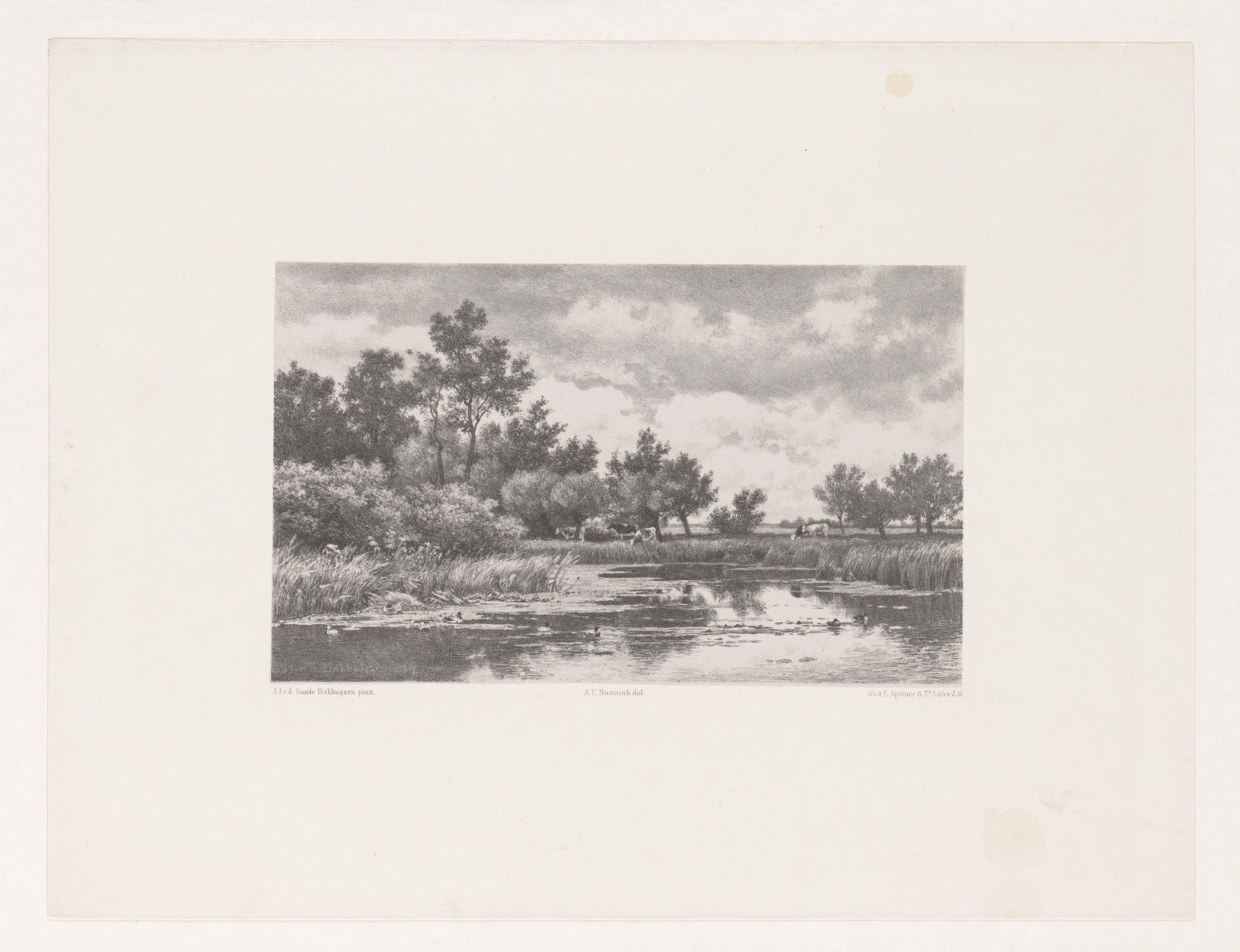 Koeien in rivierlandschap by Adolf Carel Nunnink