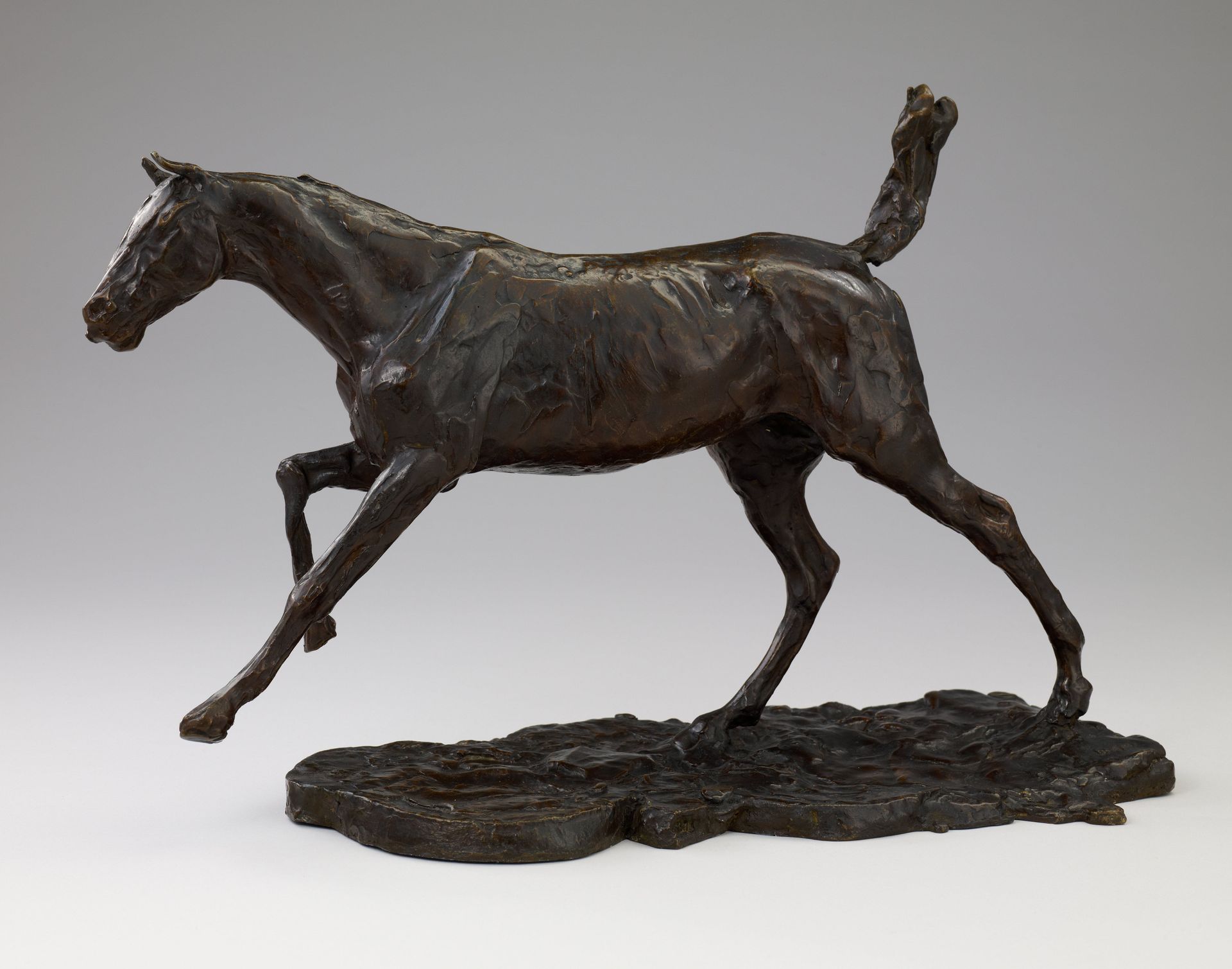 Galloping Horse by Edgar Degas