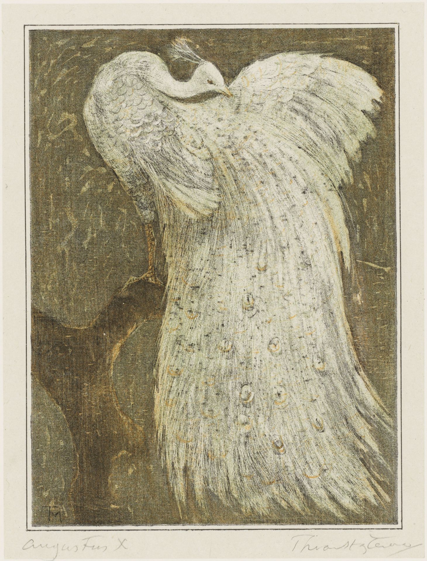 Witte pauw op tak by Theo van Hoytema