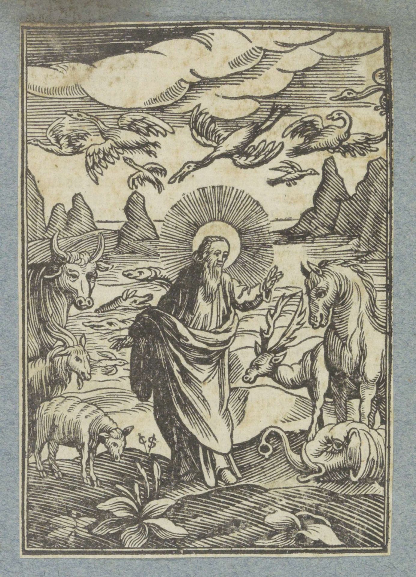 Vijfde en zesde scheppingsdag: schepping van de vogels, vissen en de landdieren by Christoffel van (II) Sichem