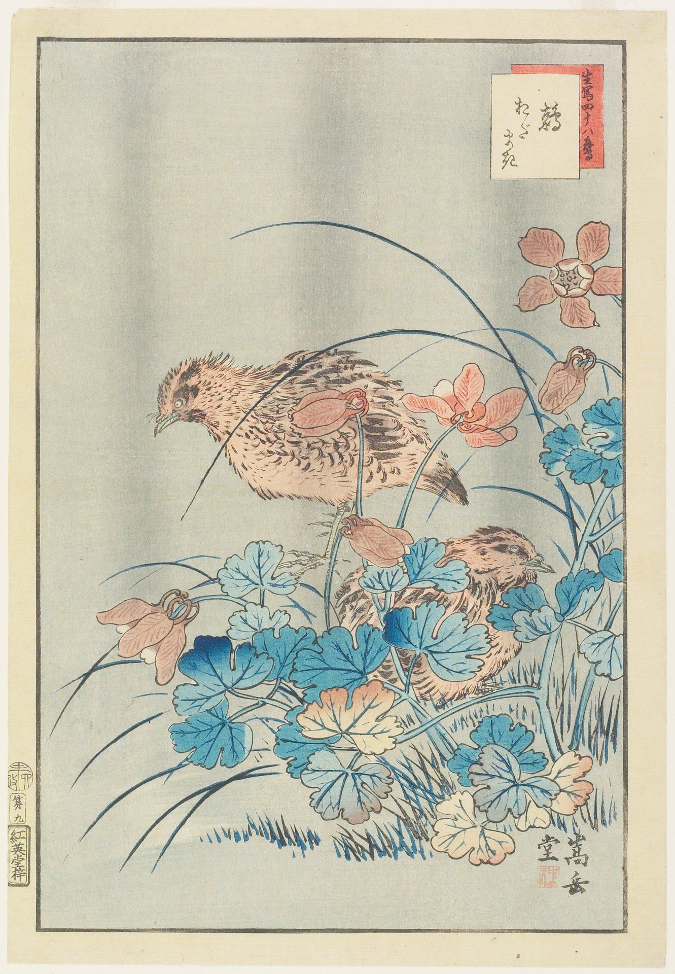 Two Quails in Bush by Nakayama Sūgakudō