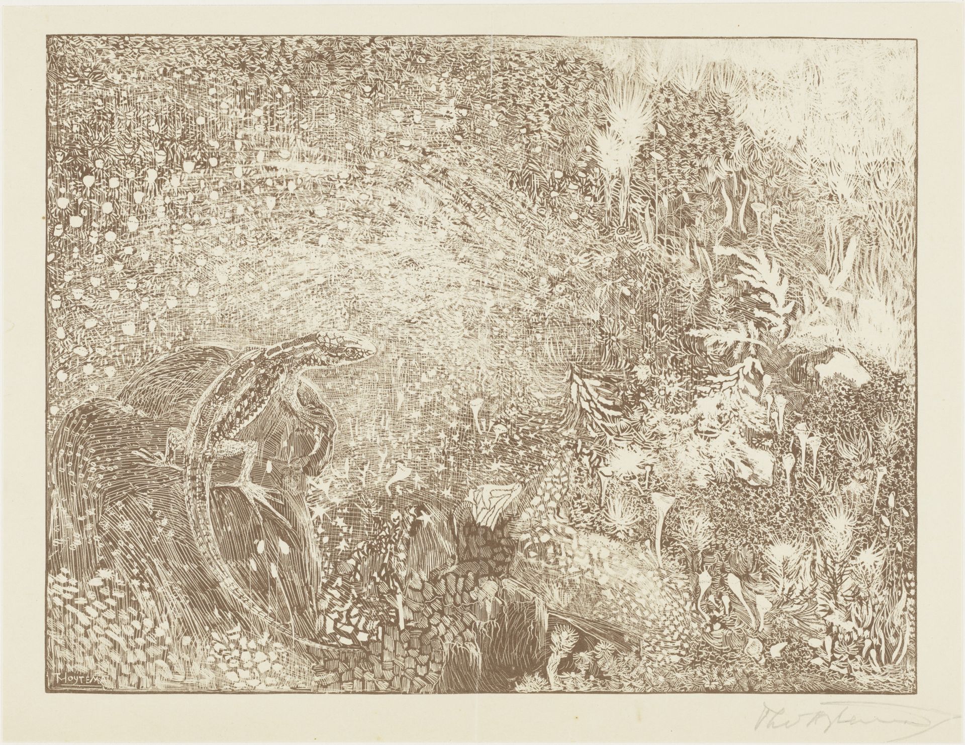 Hagedis op een steen by Theo van Hoytema