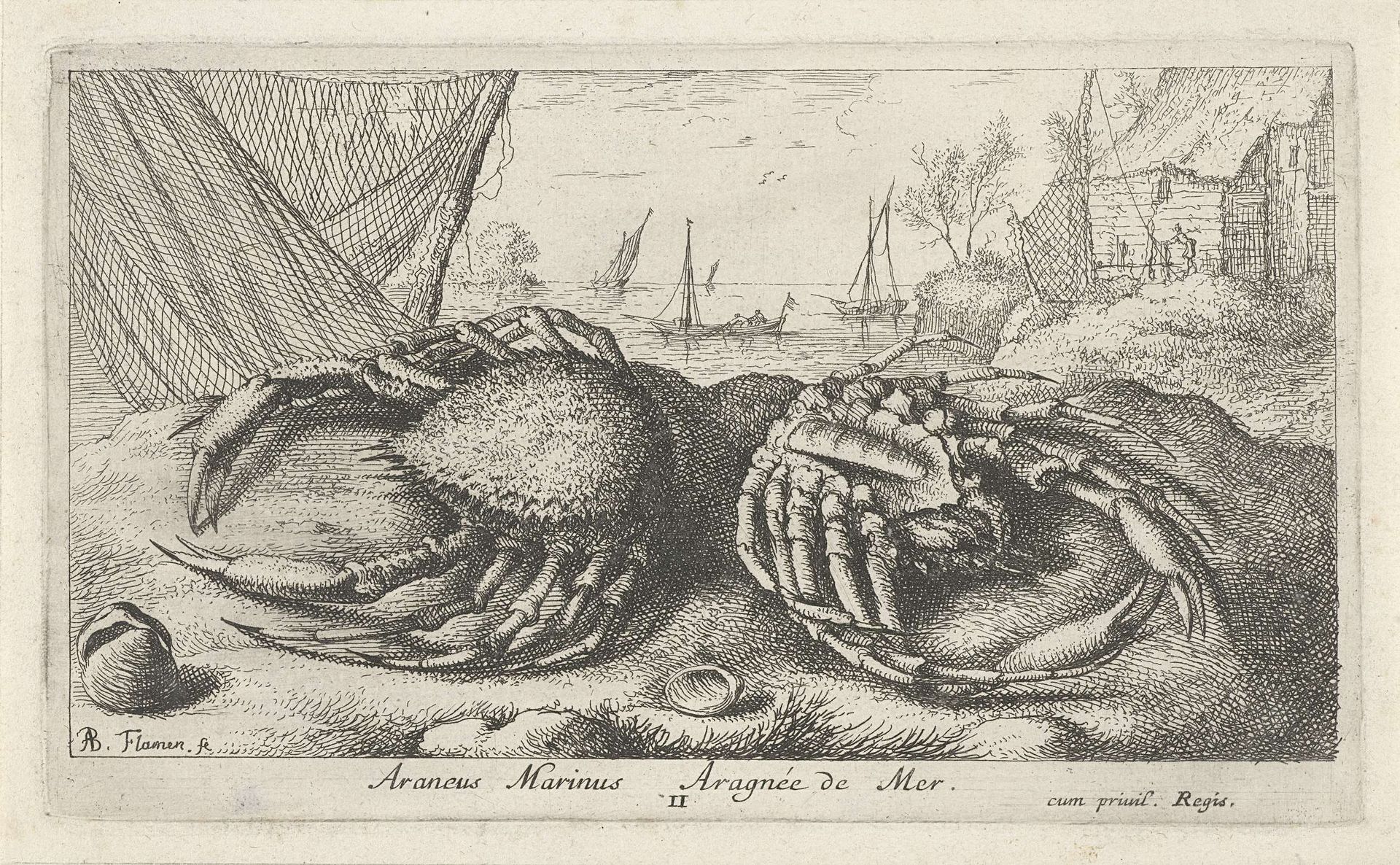 Twee spinkrabben bij een visnet by Albert Flamen